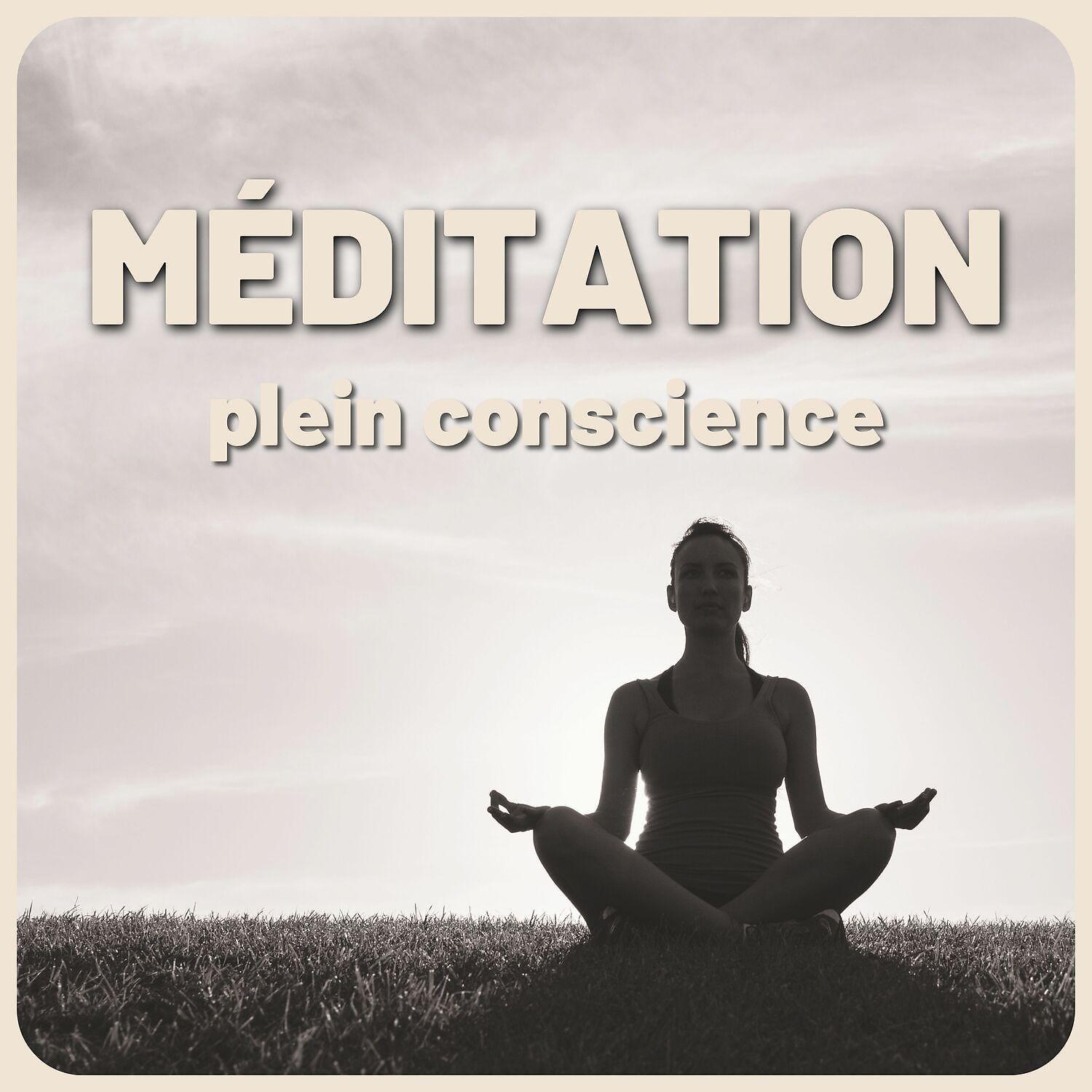 Постер альбома Méditation plein conscience