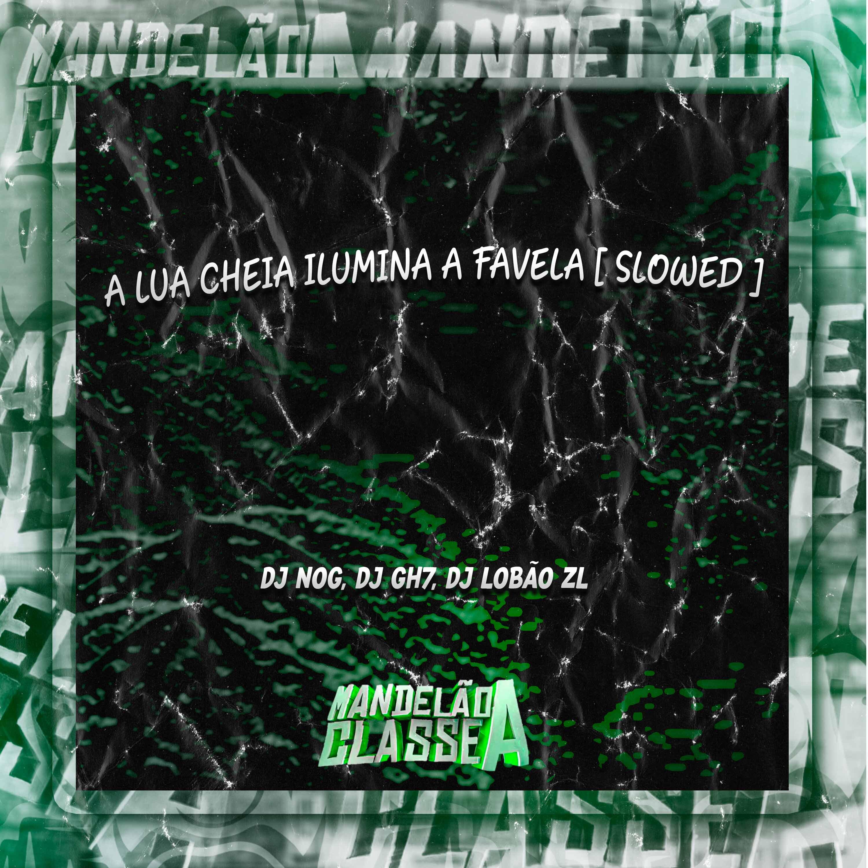 Постер альбома A Lua Cheia Ilumina a Favela (Slowed)