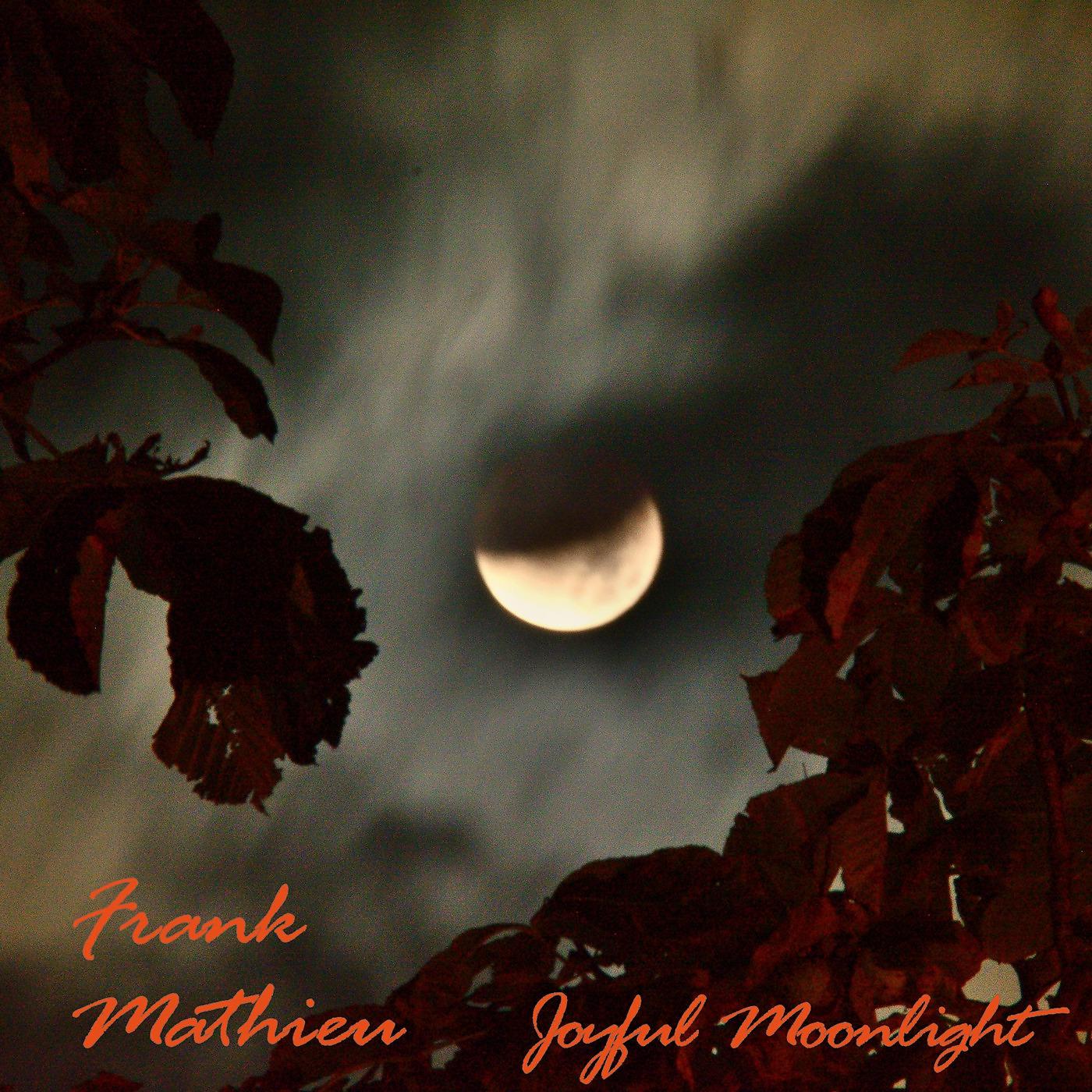 Постер альбома Joyful Moonlight