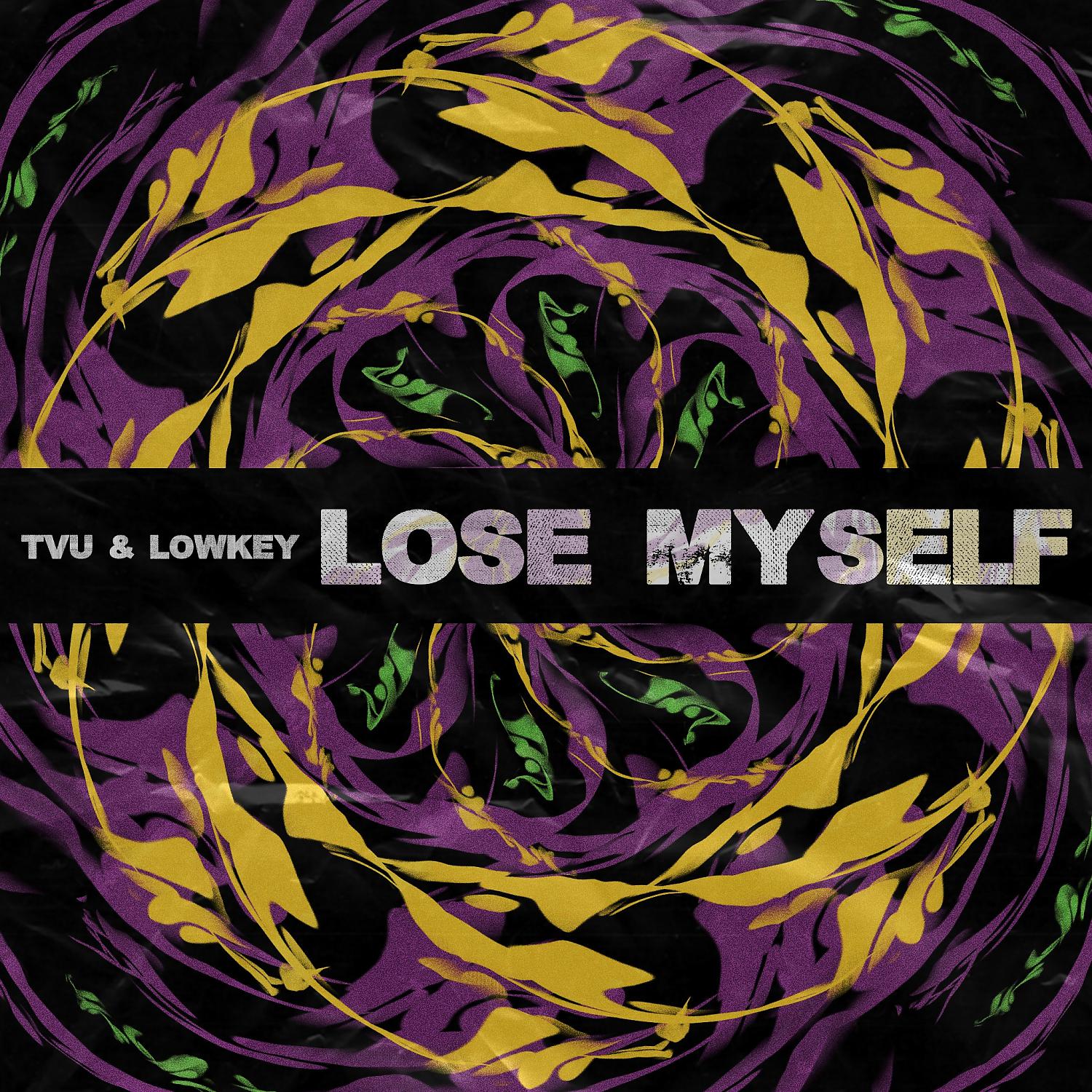 Постер альбома Lose Myself