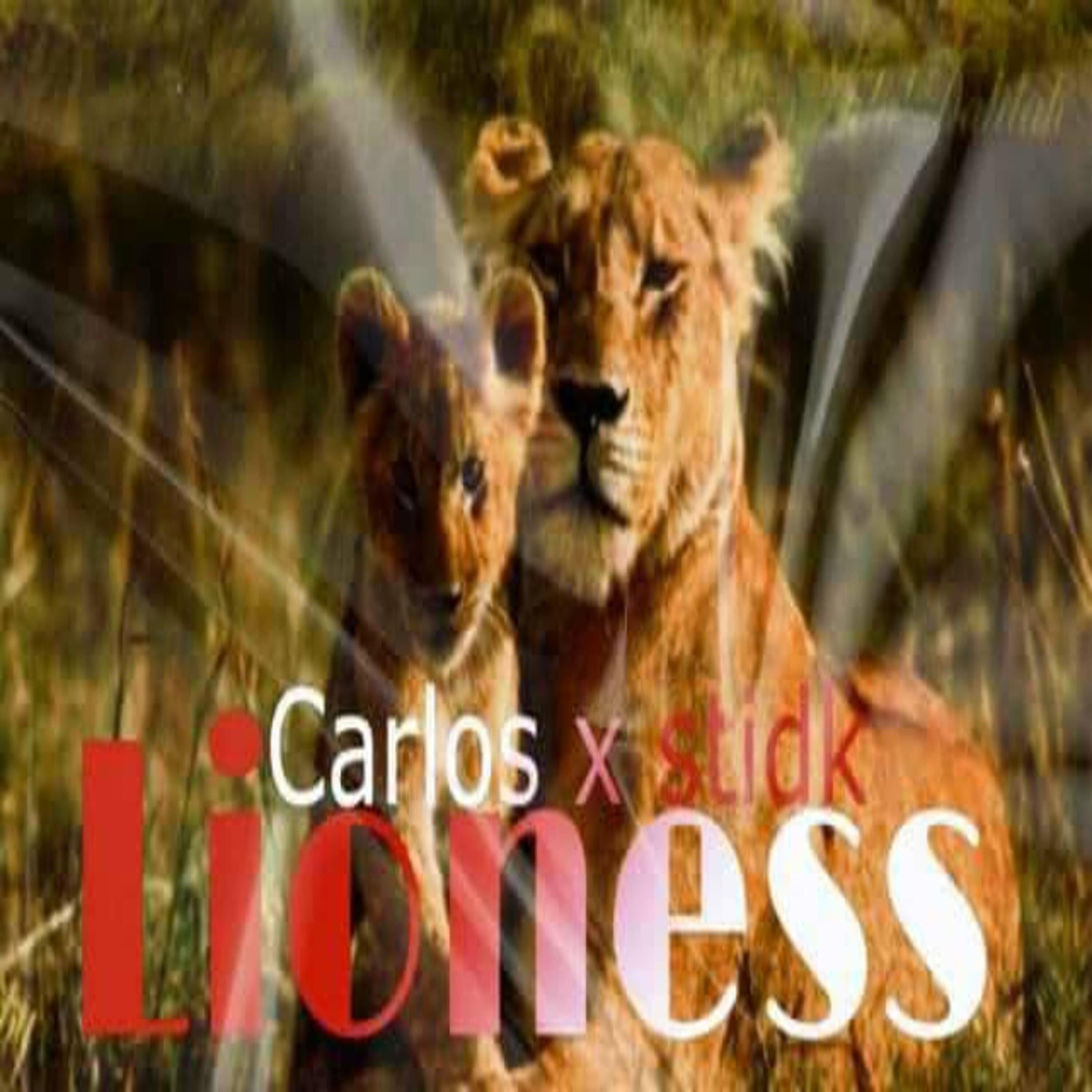 Постер альбома lioness