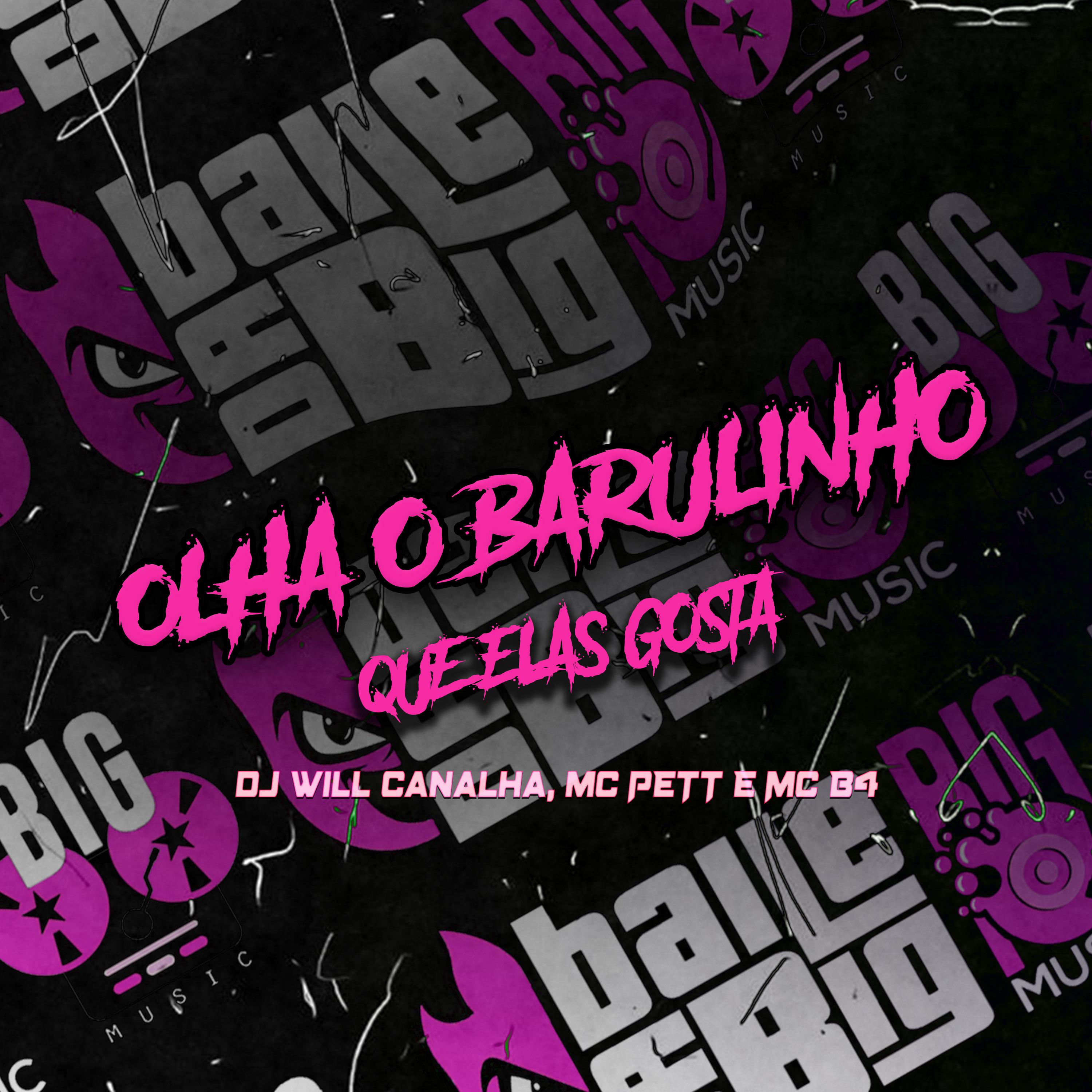 Постер альбома Olha o Barulinho Que Elas Gosta