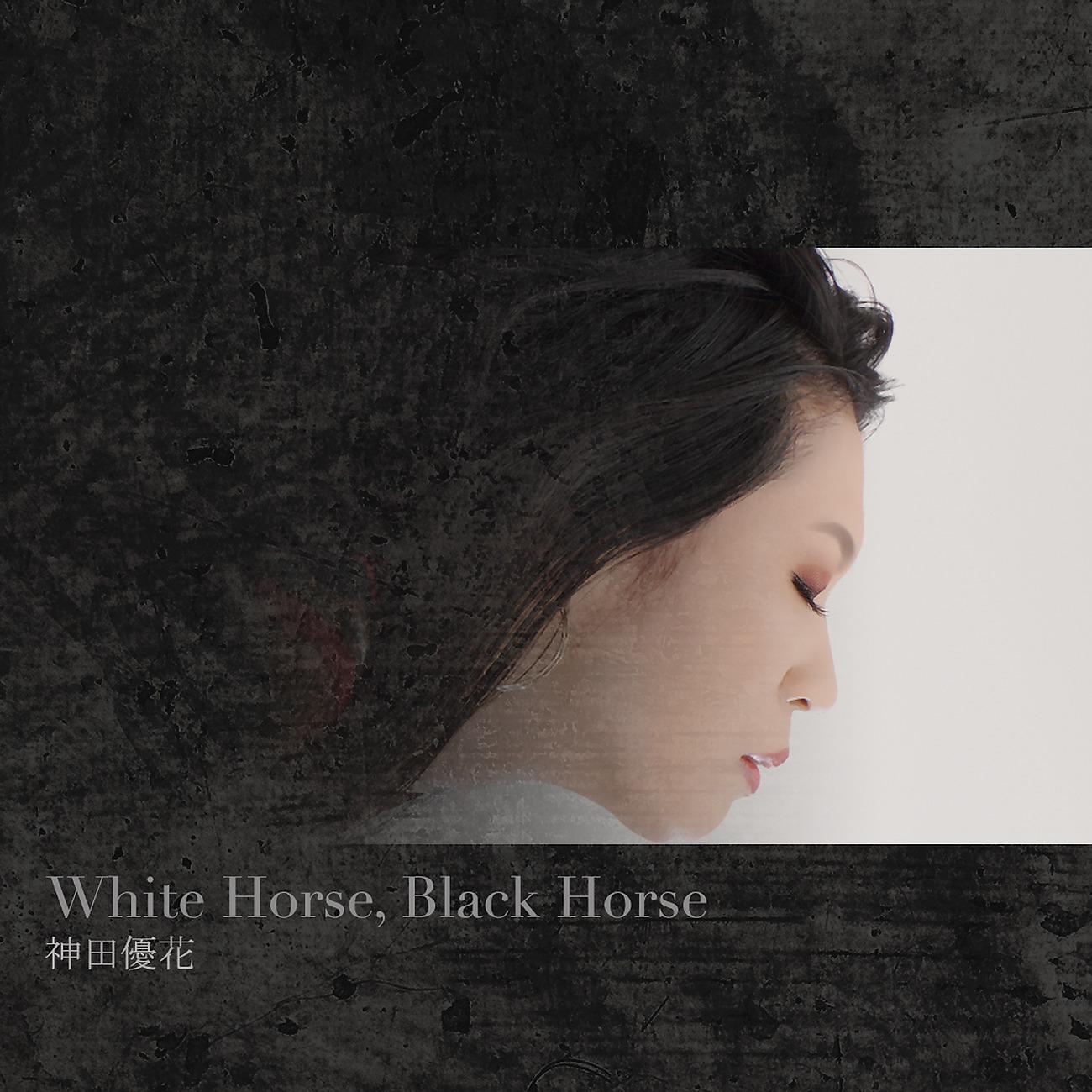 Постер альбома White Horse, Black Horse