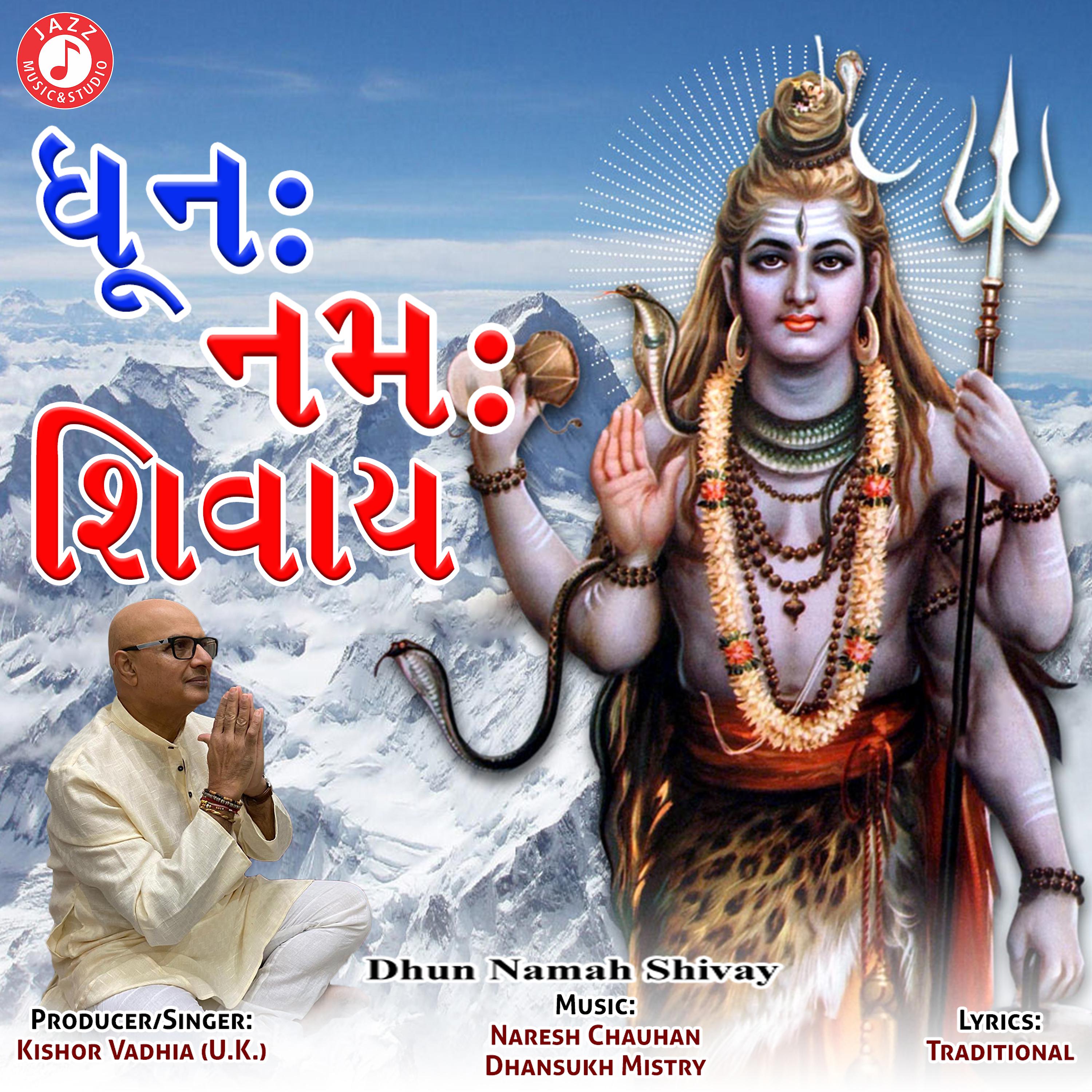 Постер альбома Dhun Namah Shivay - Single