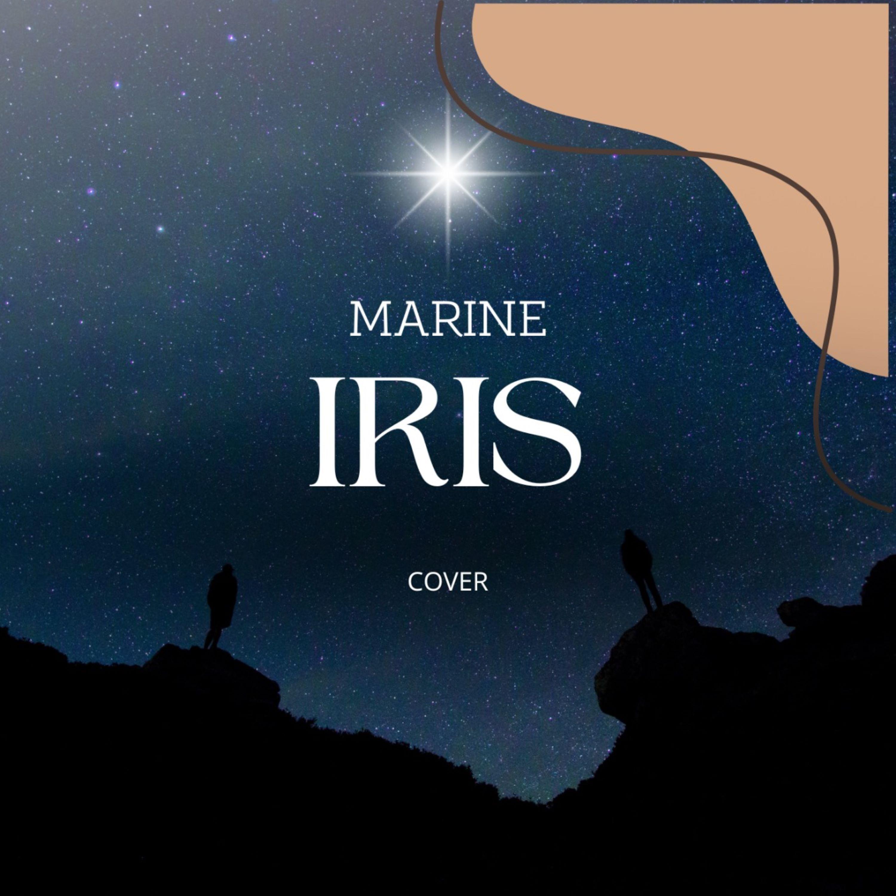 Постер альбома Iris