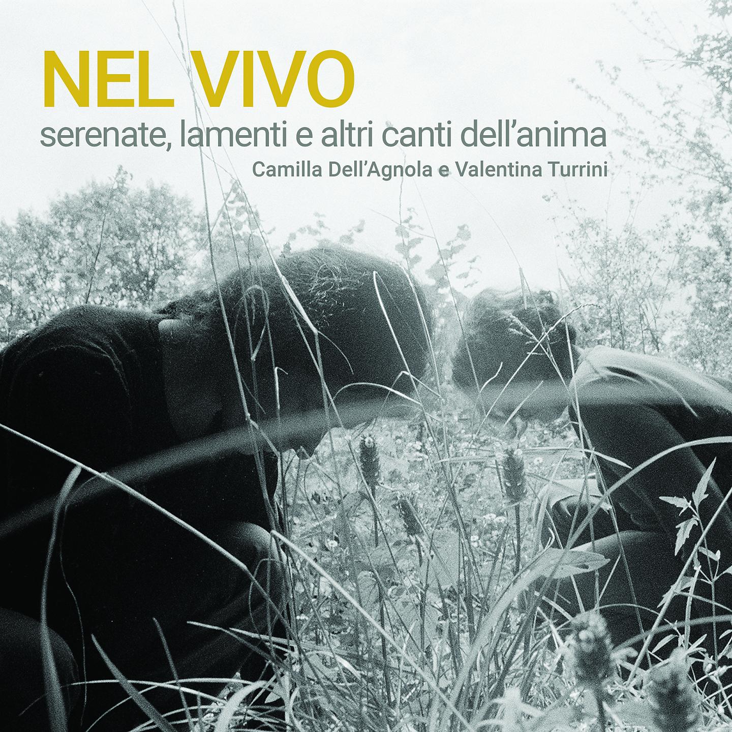 Постер альбома Nel vivo - serenate, lamenti e altri canti dell'anima