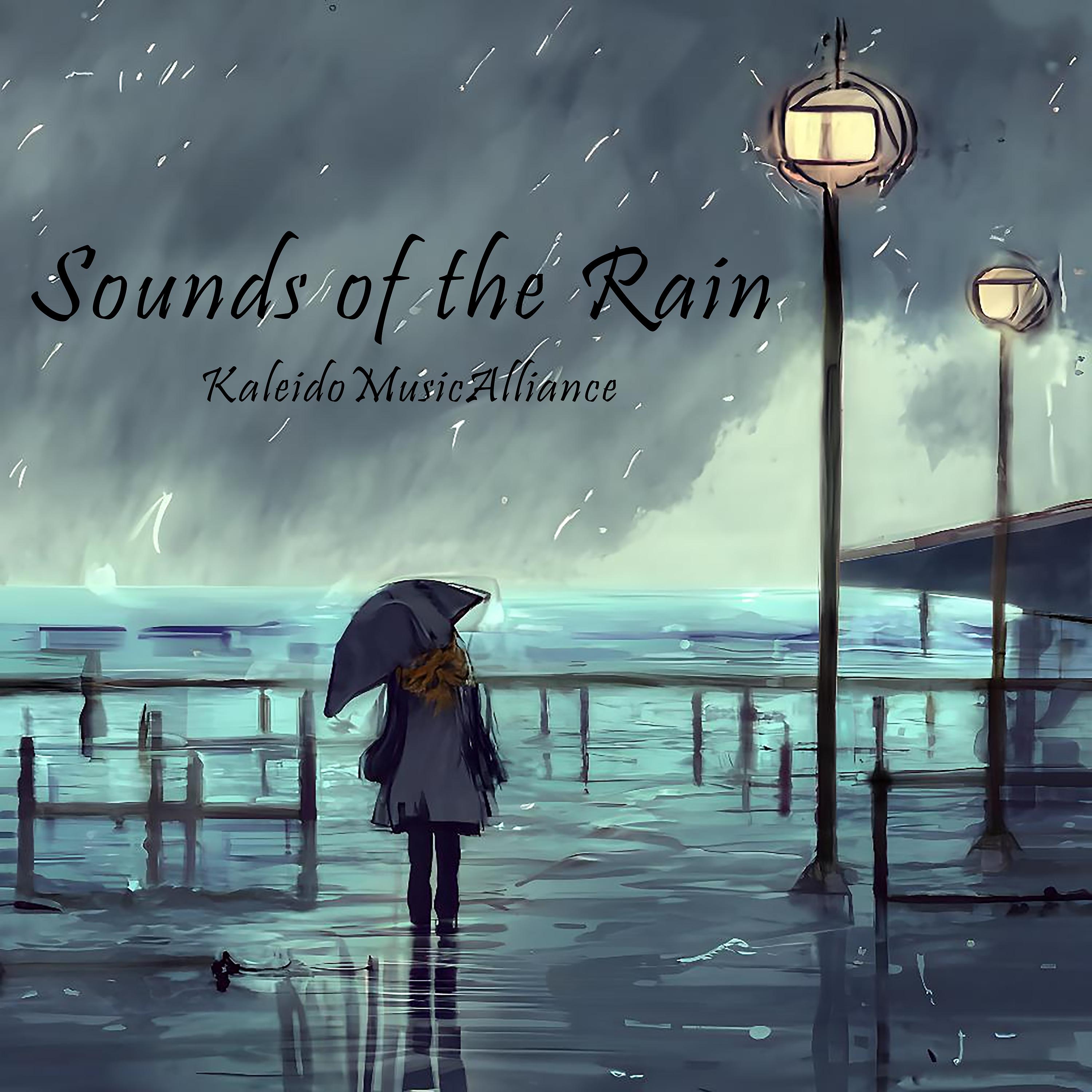 Постер альбома Sounds of the Rain