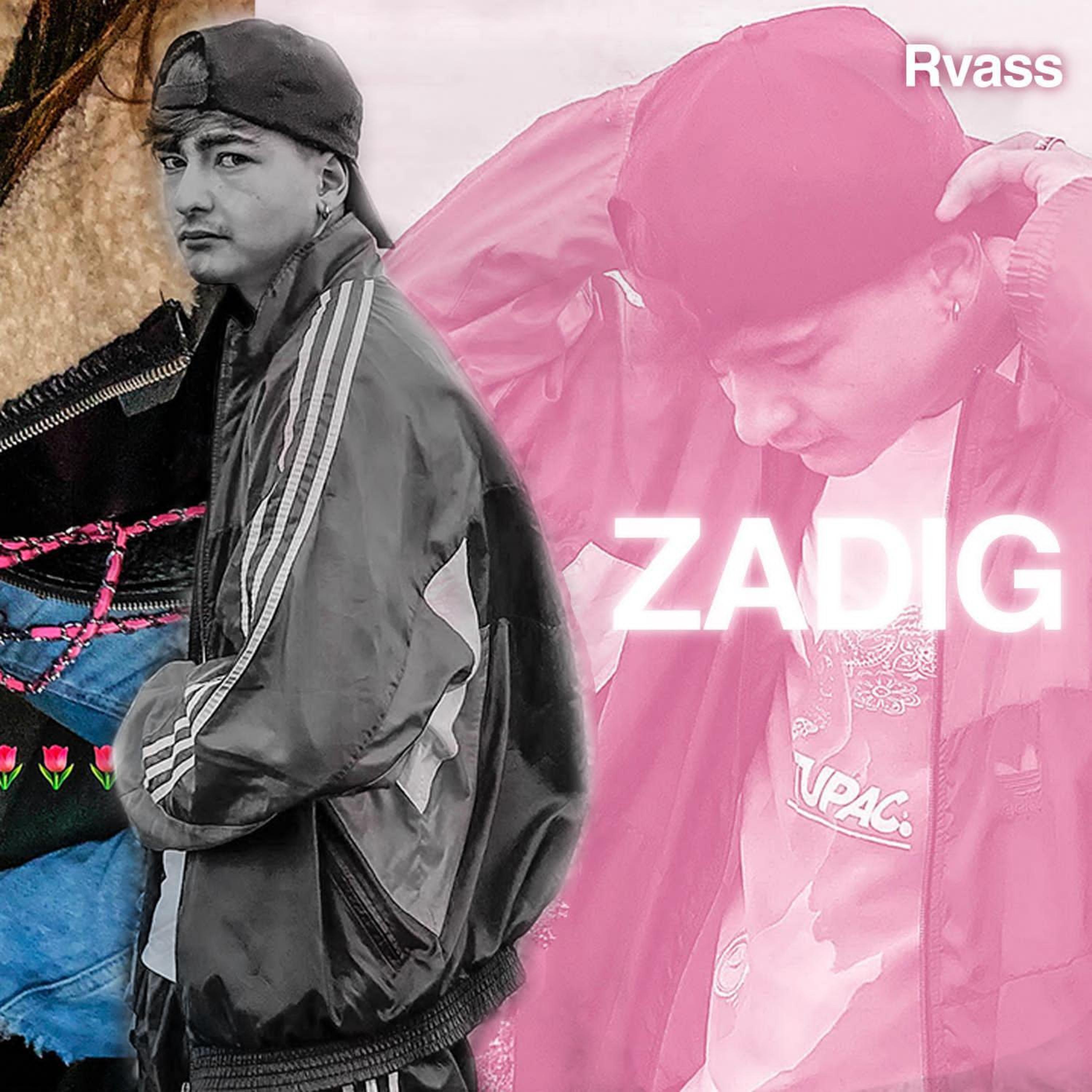 Постер альбома Zadig