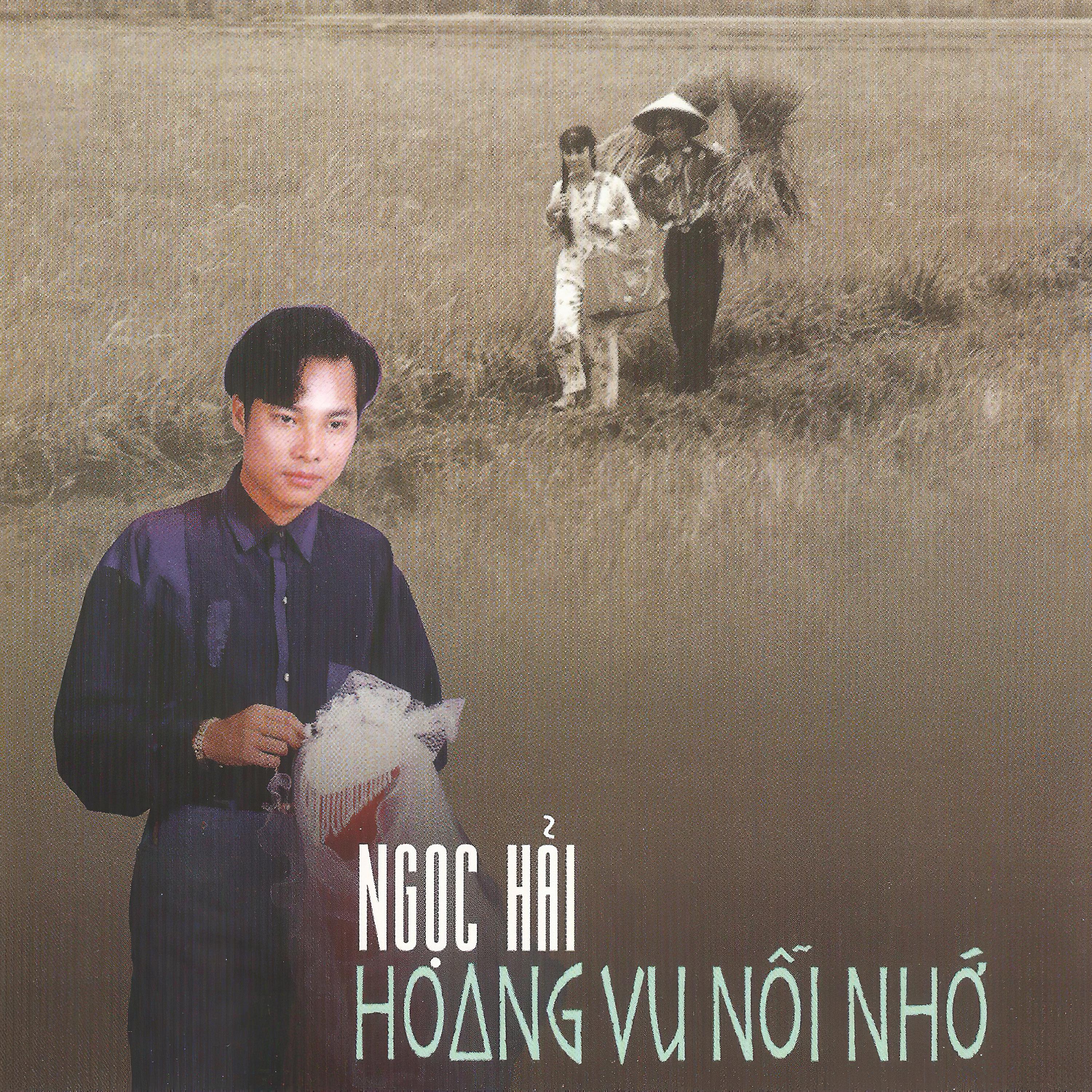 Постер альбома Hoang Vu Nỗi Nhớ