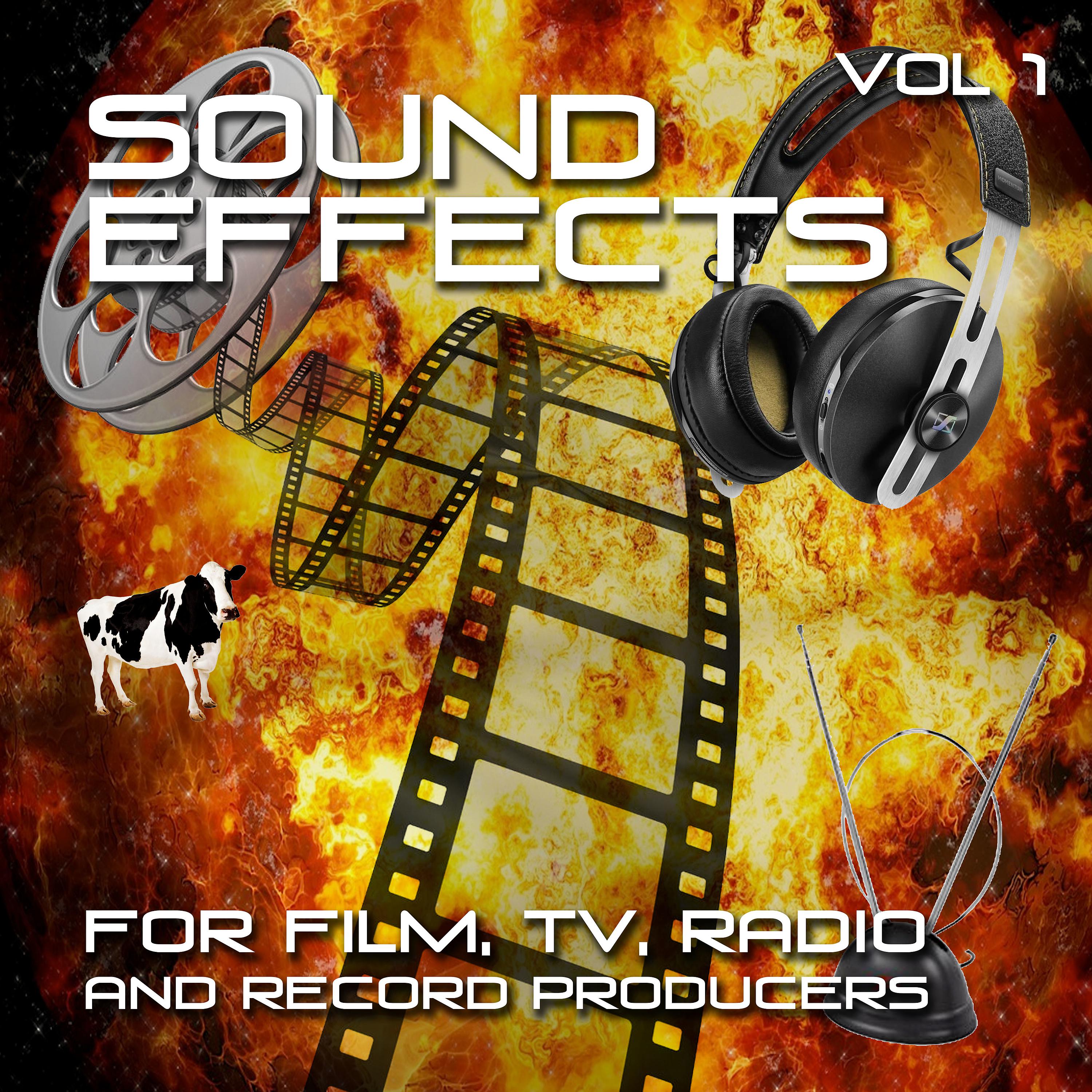 Постер альбома Sound Effect for Film, Tv, Radio and Record Producers, Vol. 1