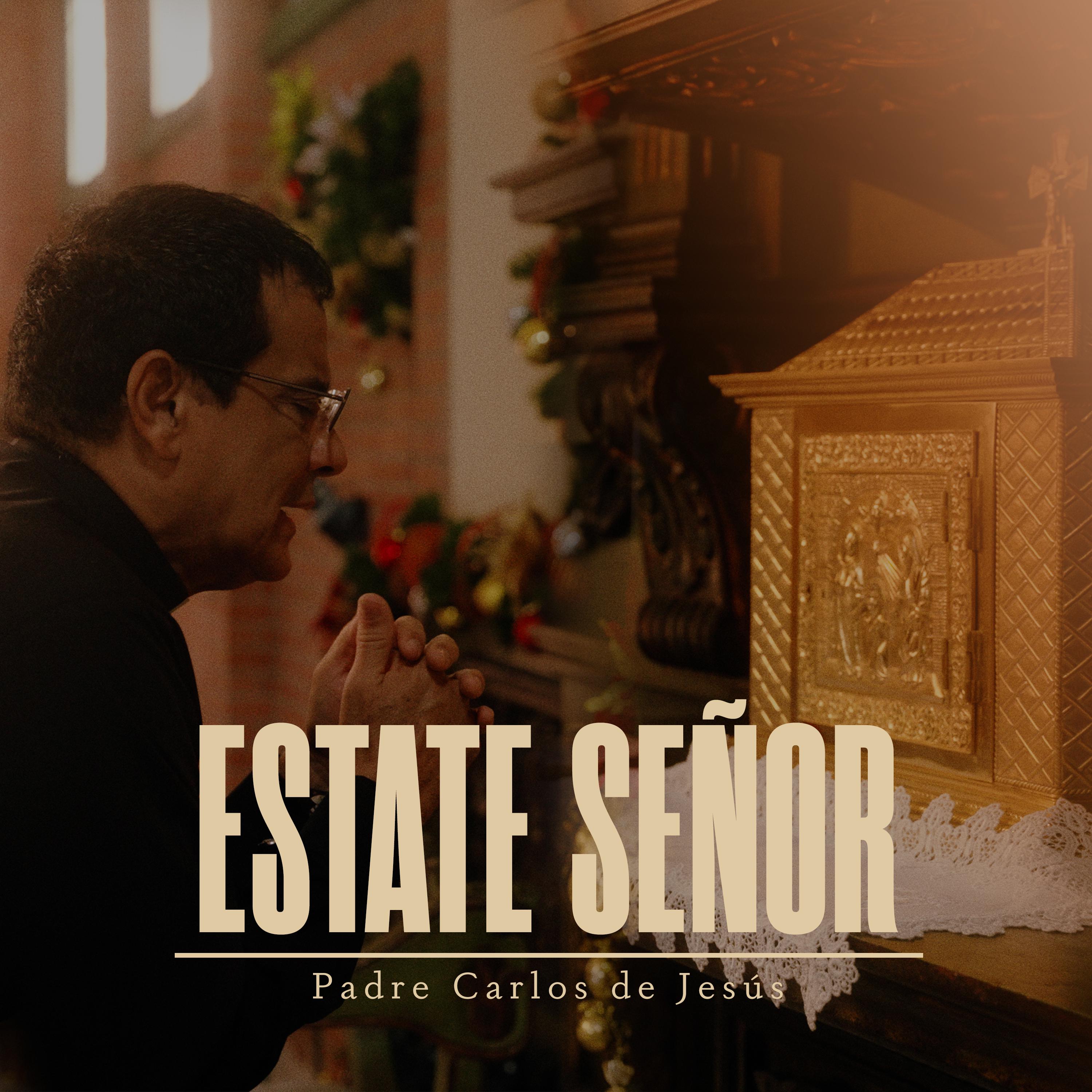 Постер альбома Estate Señor