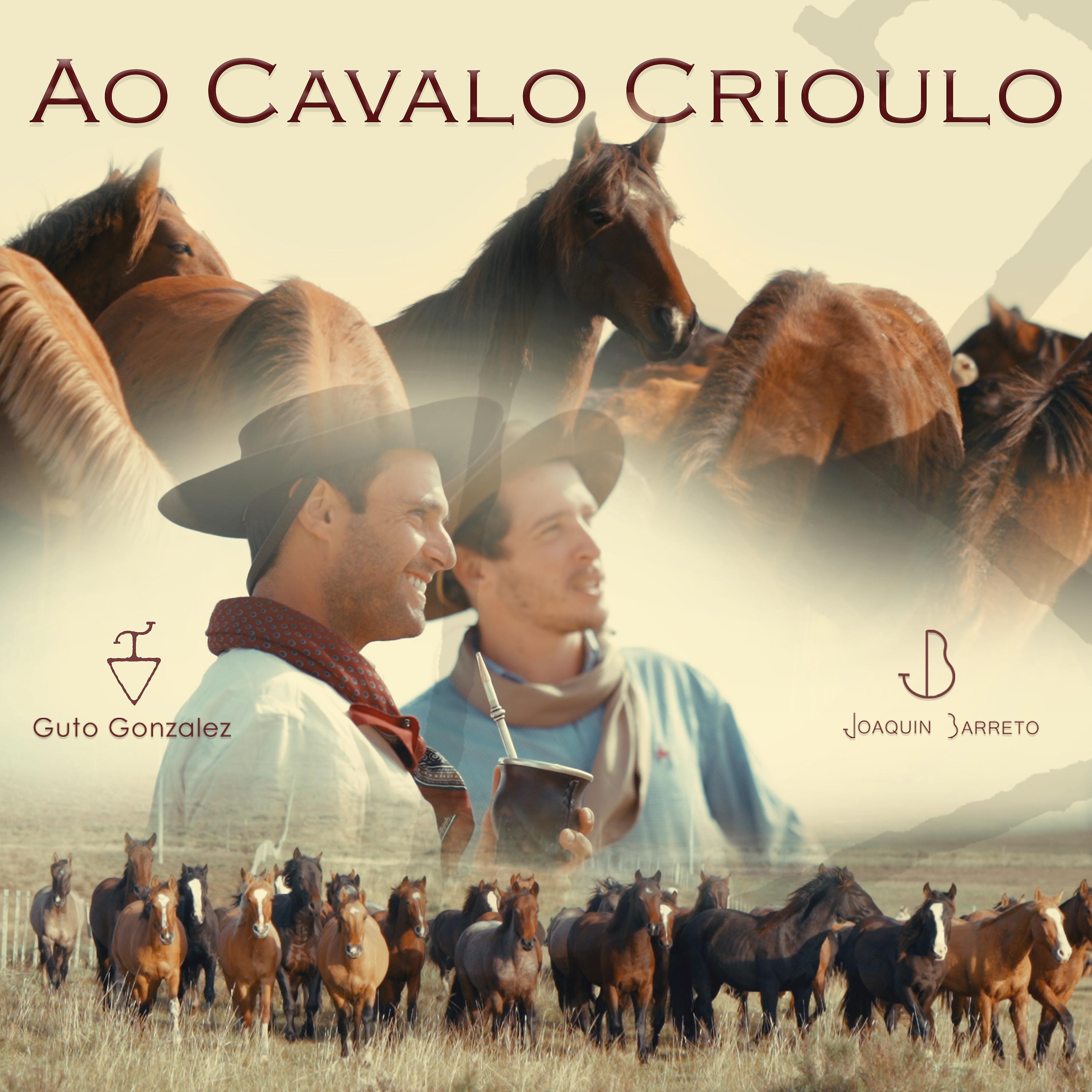 Постер альбома Ao Cavalo Crioulo
