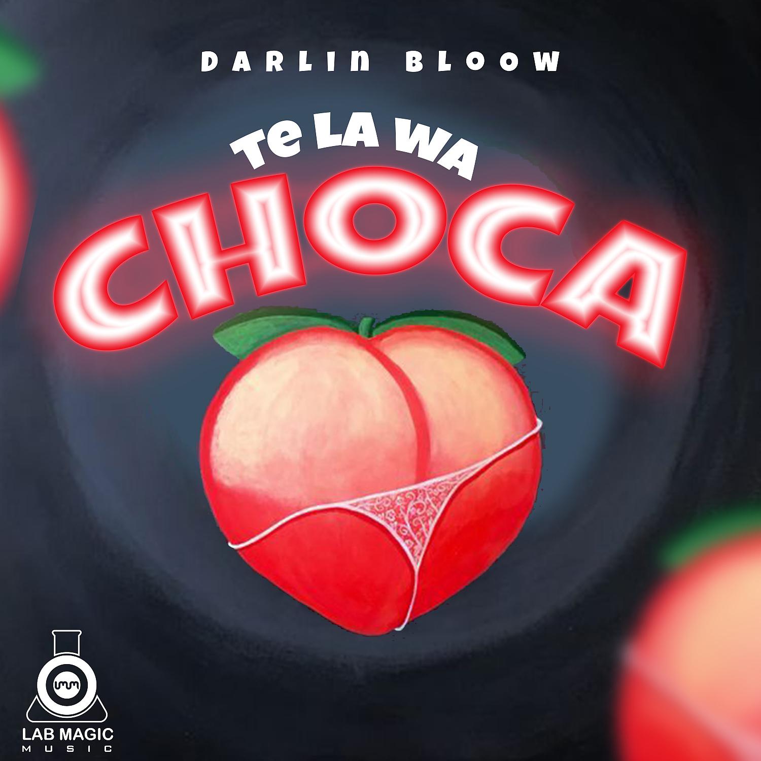 Постер альбома Te la wa choca (feat. Lab Magic Music)