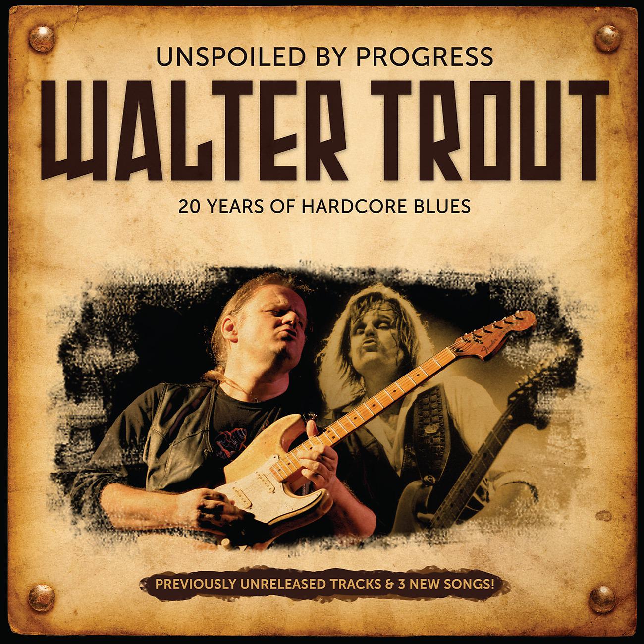 Постер альбома Unspoiled by Progress: 20 Years Of Hardcore Blues