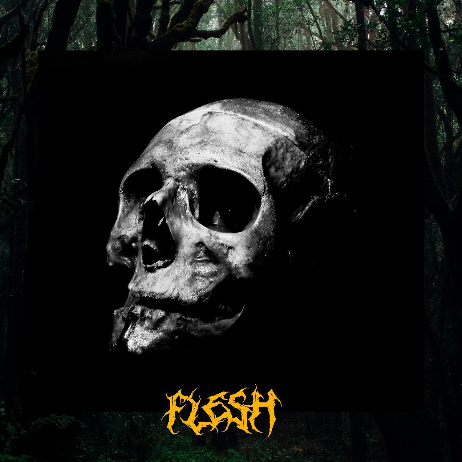 Постер альбома Flesh
