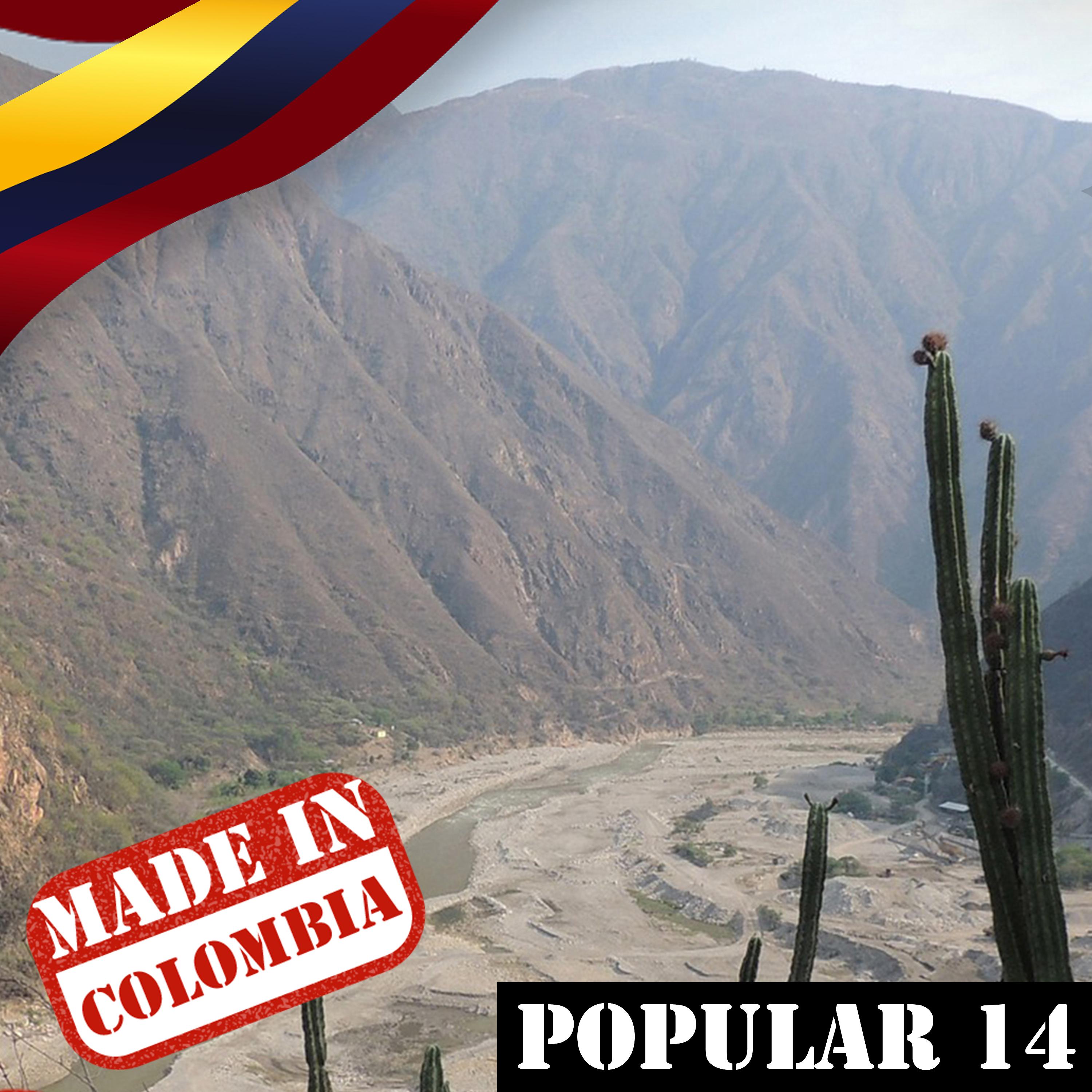 Постер альбома Made In Colombia / Popular / 14