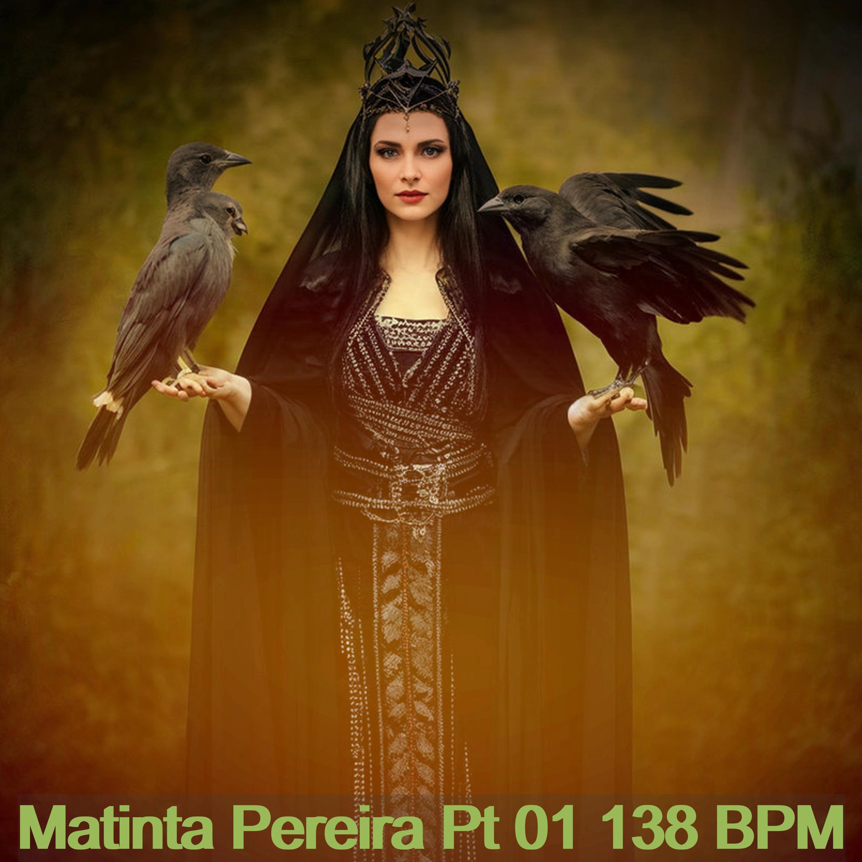 Постер альбома Matinta Pereira Pt 01 138 Bpm