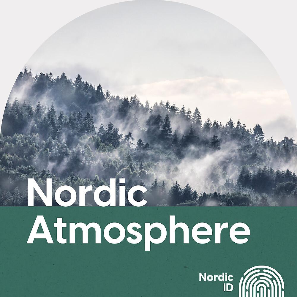 Постер альбома Nordic Atmosphere