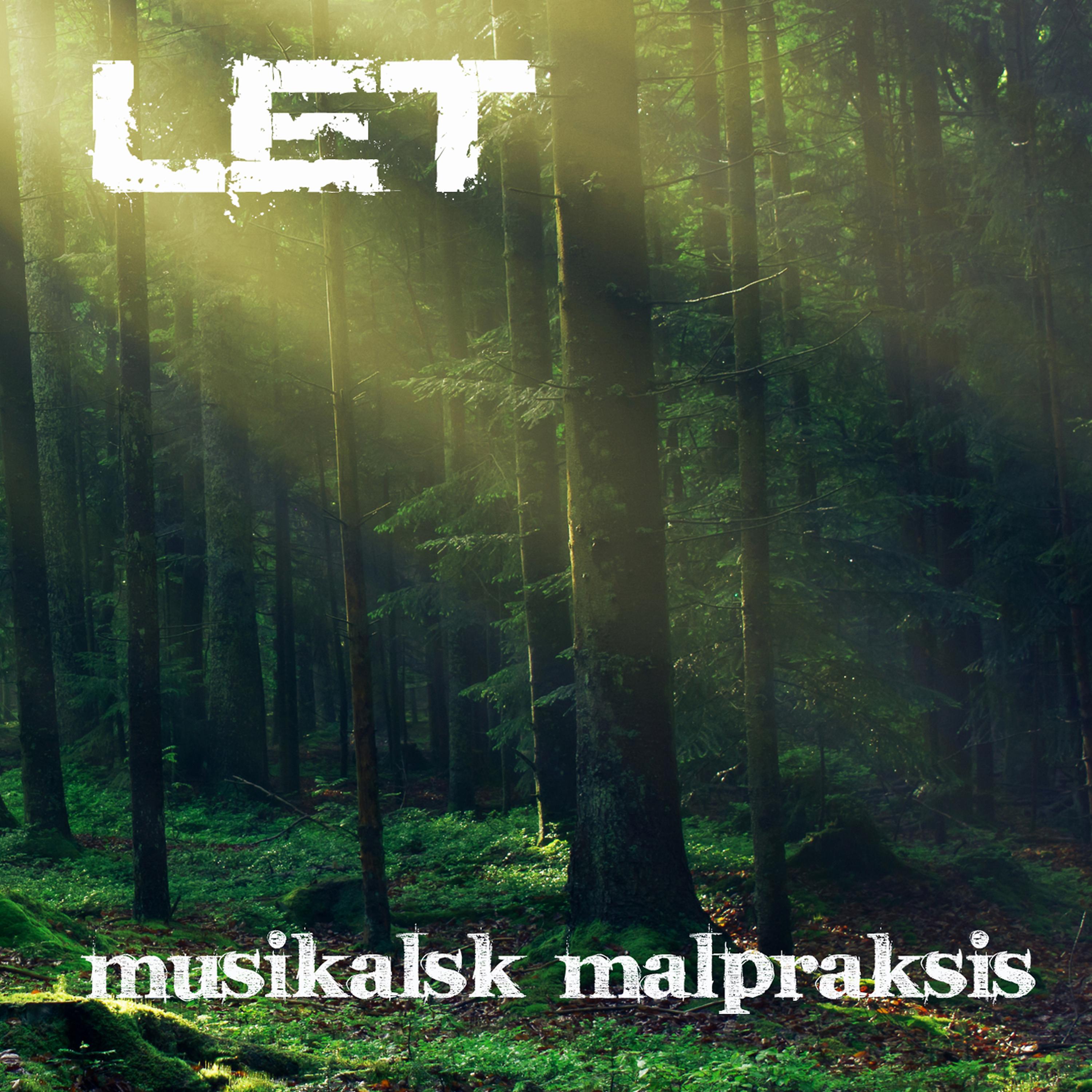 Постер альбома Musikalsk Malpraksis