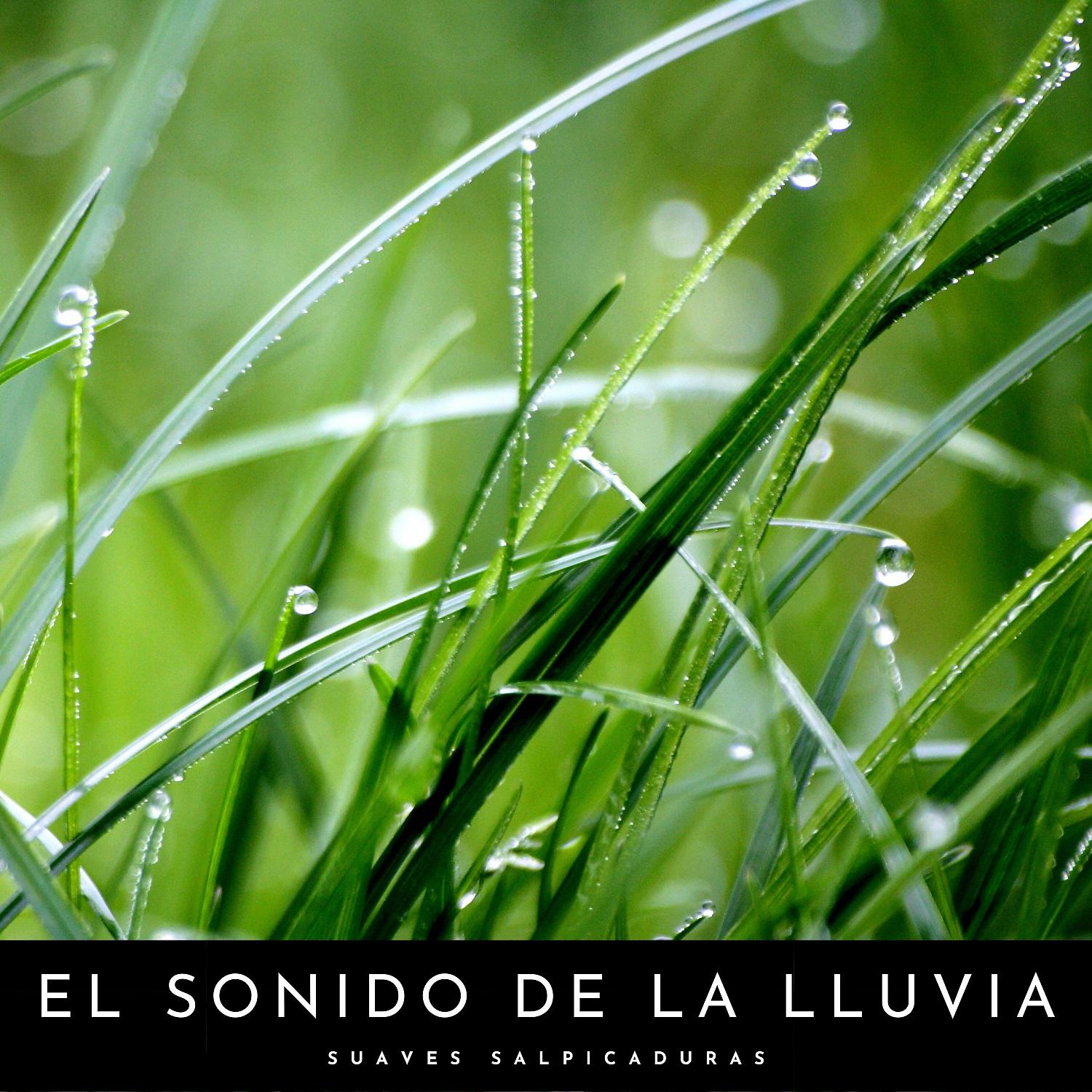 Постер альбома El Sonido De La Lluvia: Suaves Salpicaduras