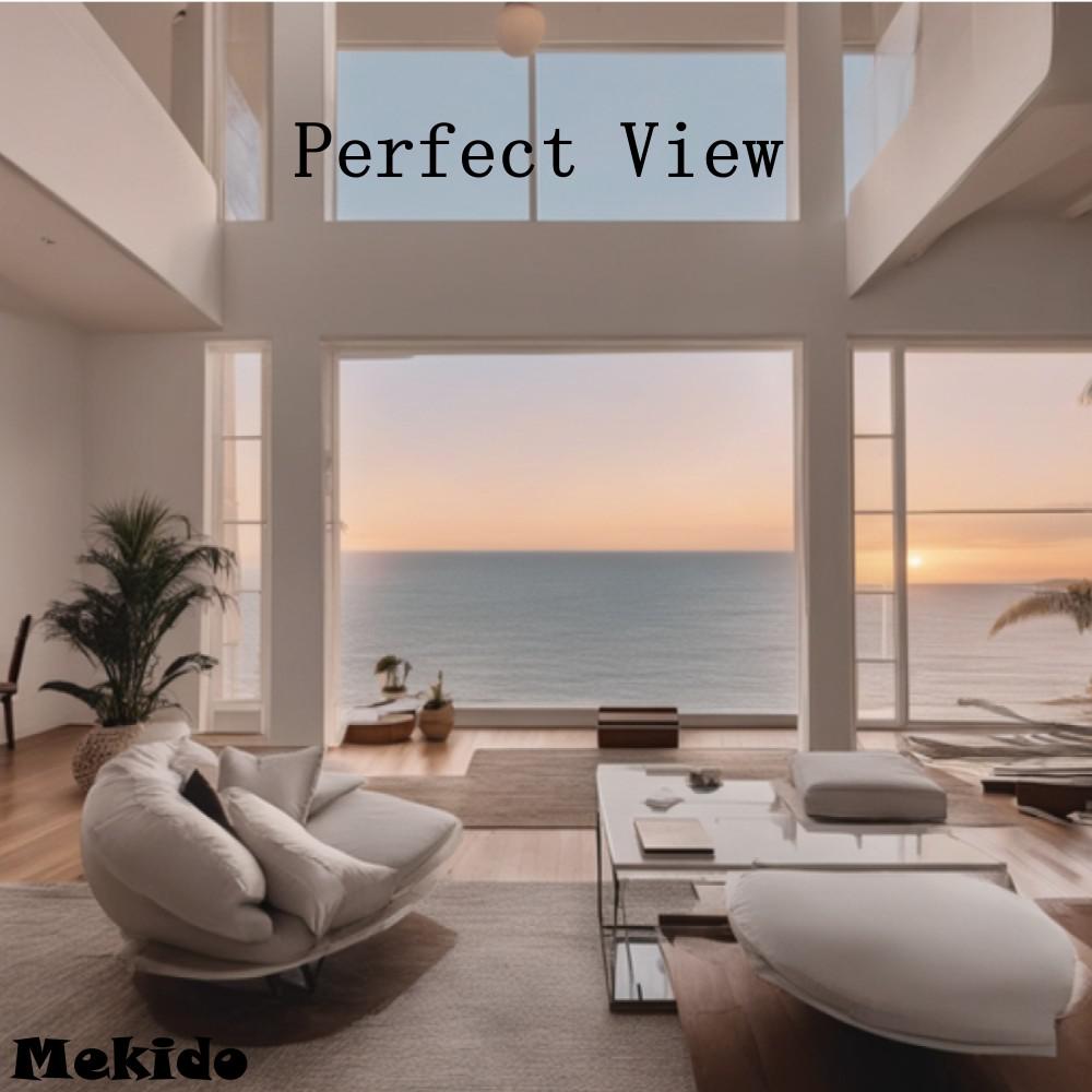 Постер альбома Perfect View