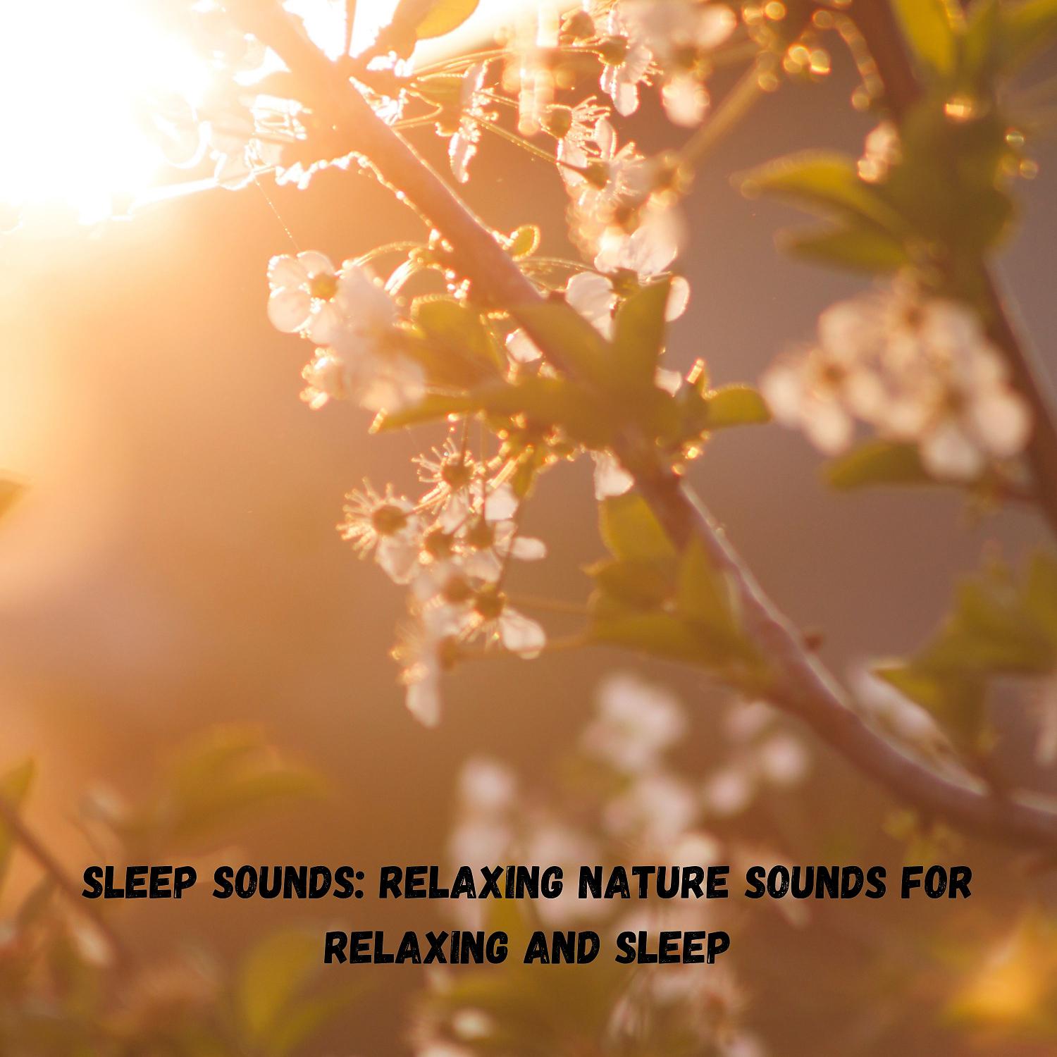 Постер альбома Sleep Sounds: Relaxing Nature Sounds for Relaxing and Sleep