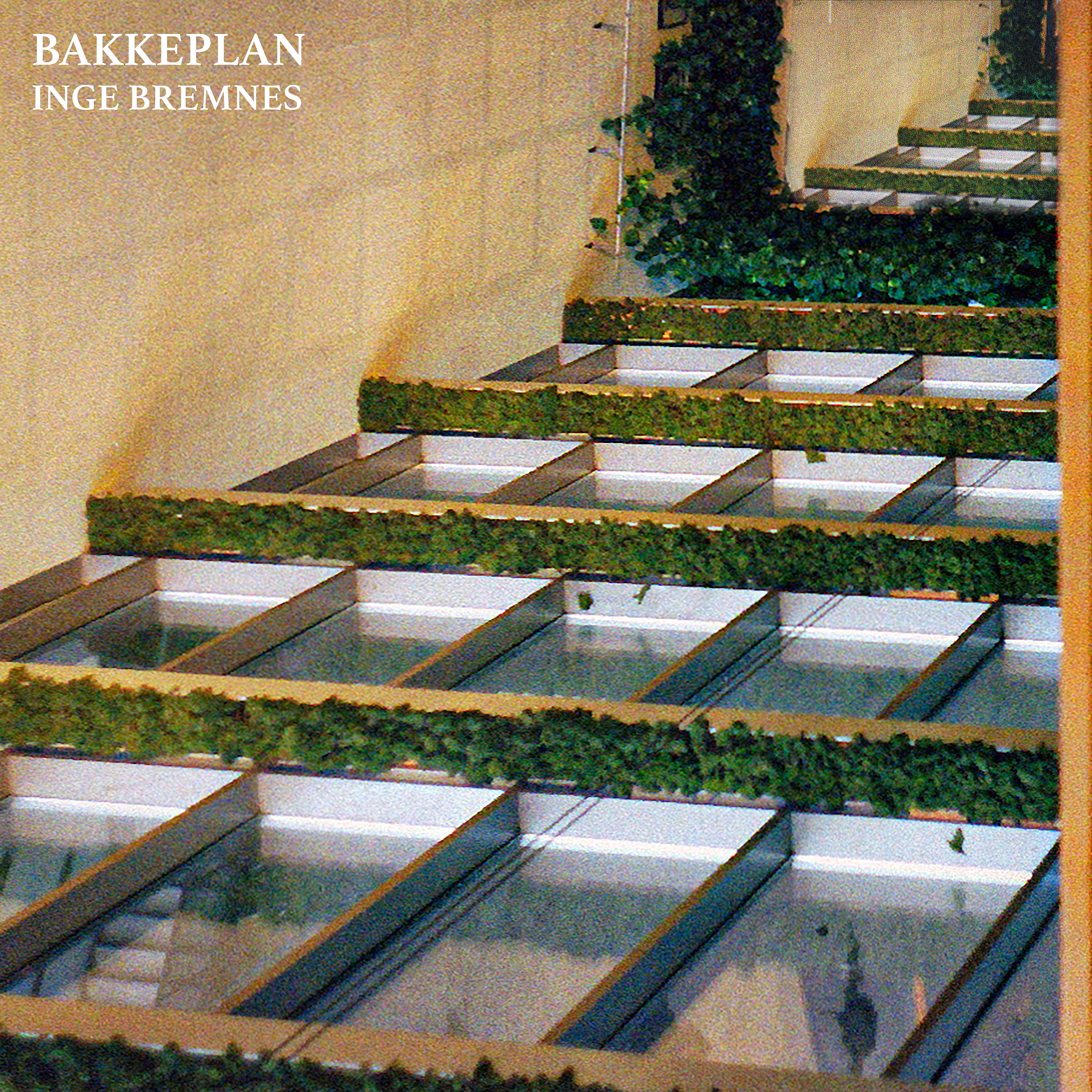 Постер альбома Bakkeplan