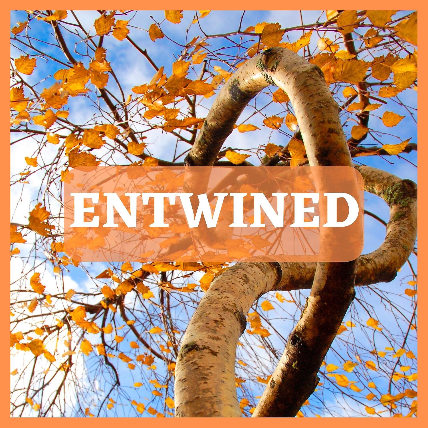 Постер альбома Entwined