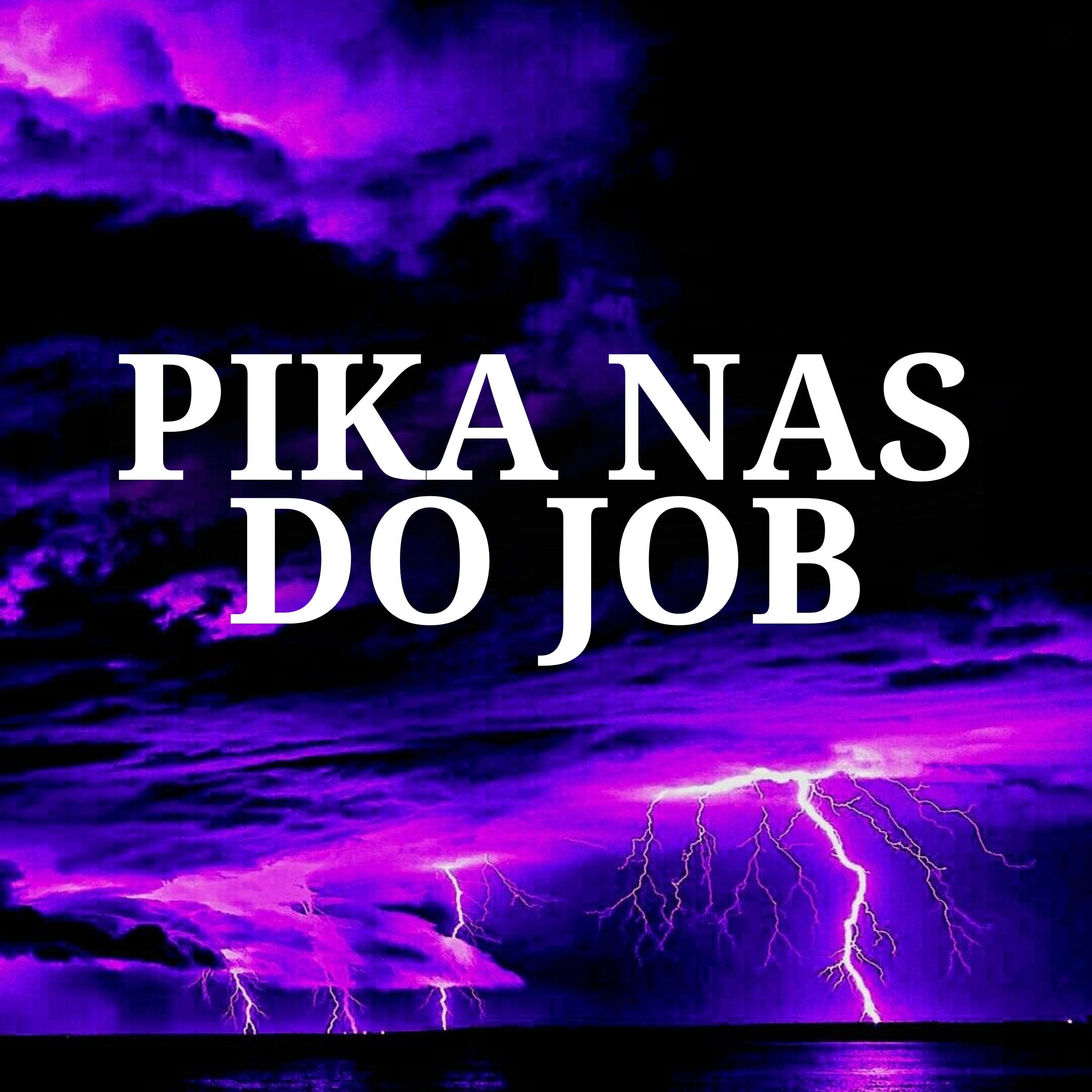Постер альбома Pika nas do Job
