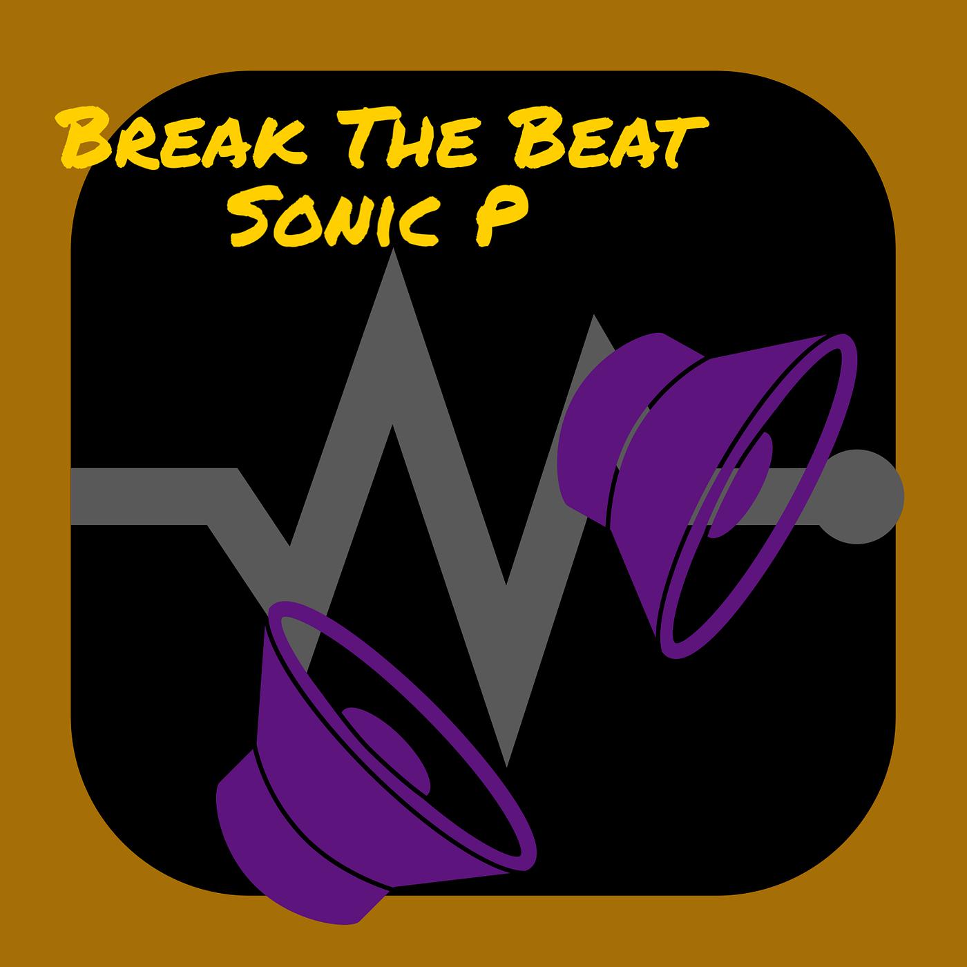Постер альбома Break the Beat Sonic P