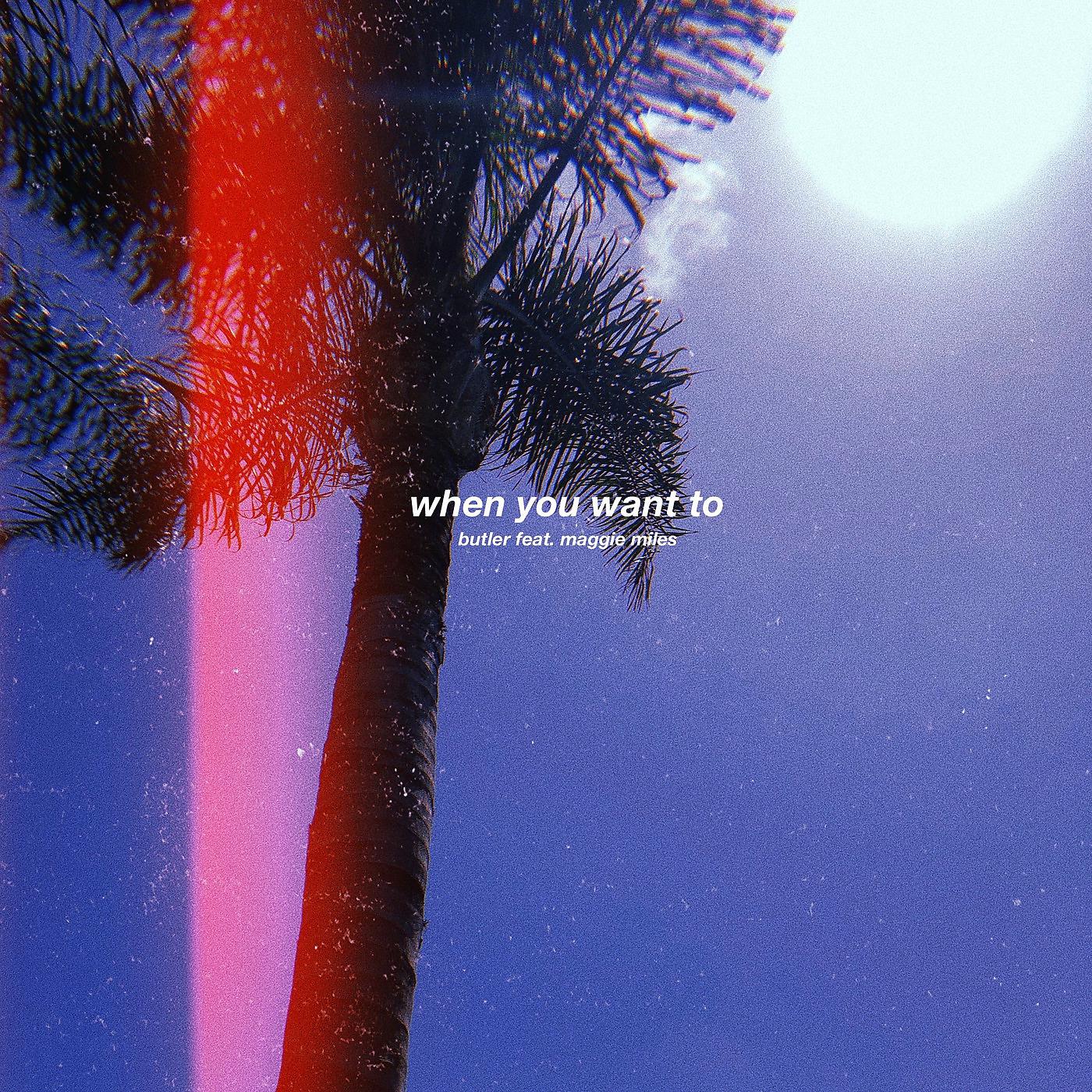 Постер альбома When You Want To