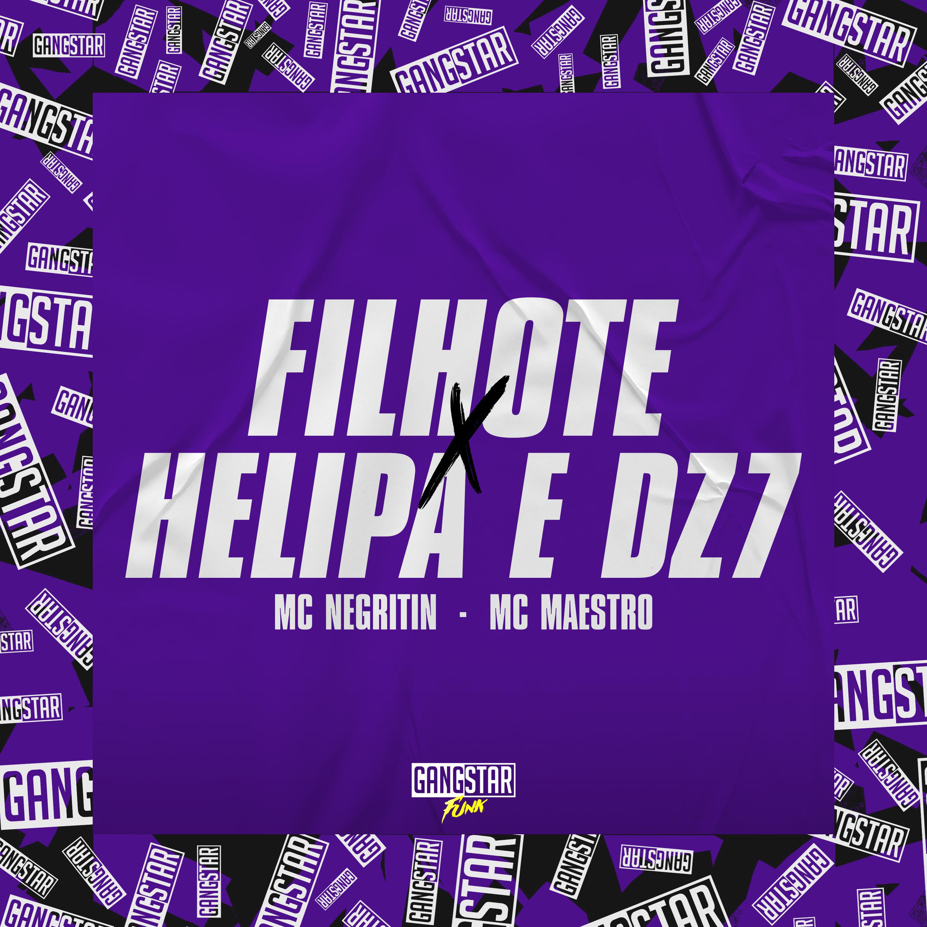 Постер альбома Filhote X Helipa e Dz7