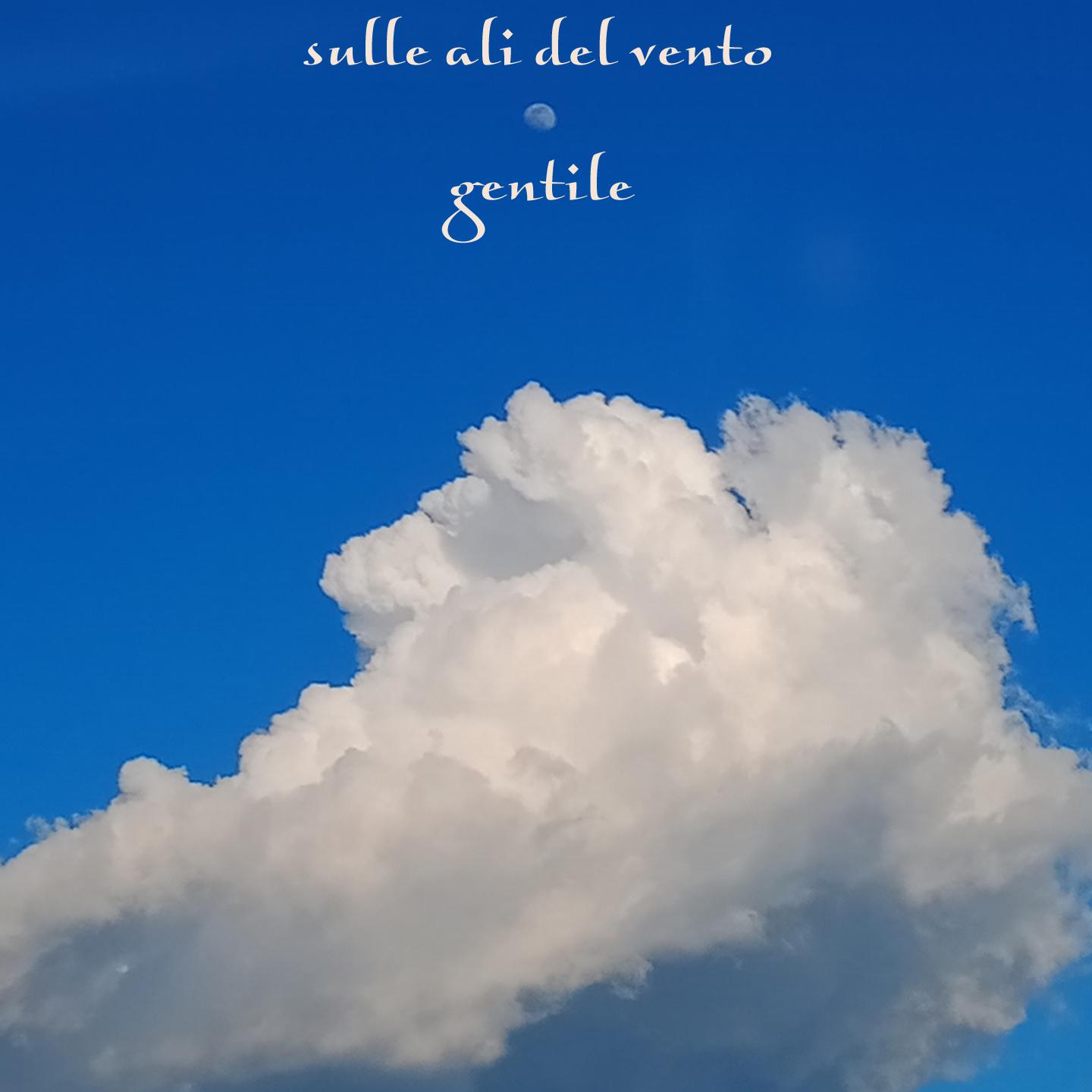 Постер альбома Sulle ali del vento