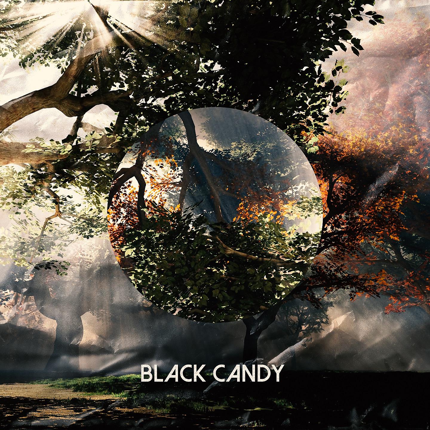 Постер альбома Black Candy