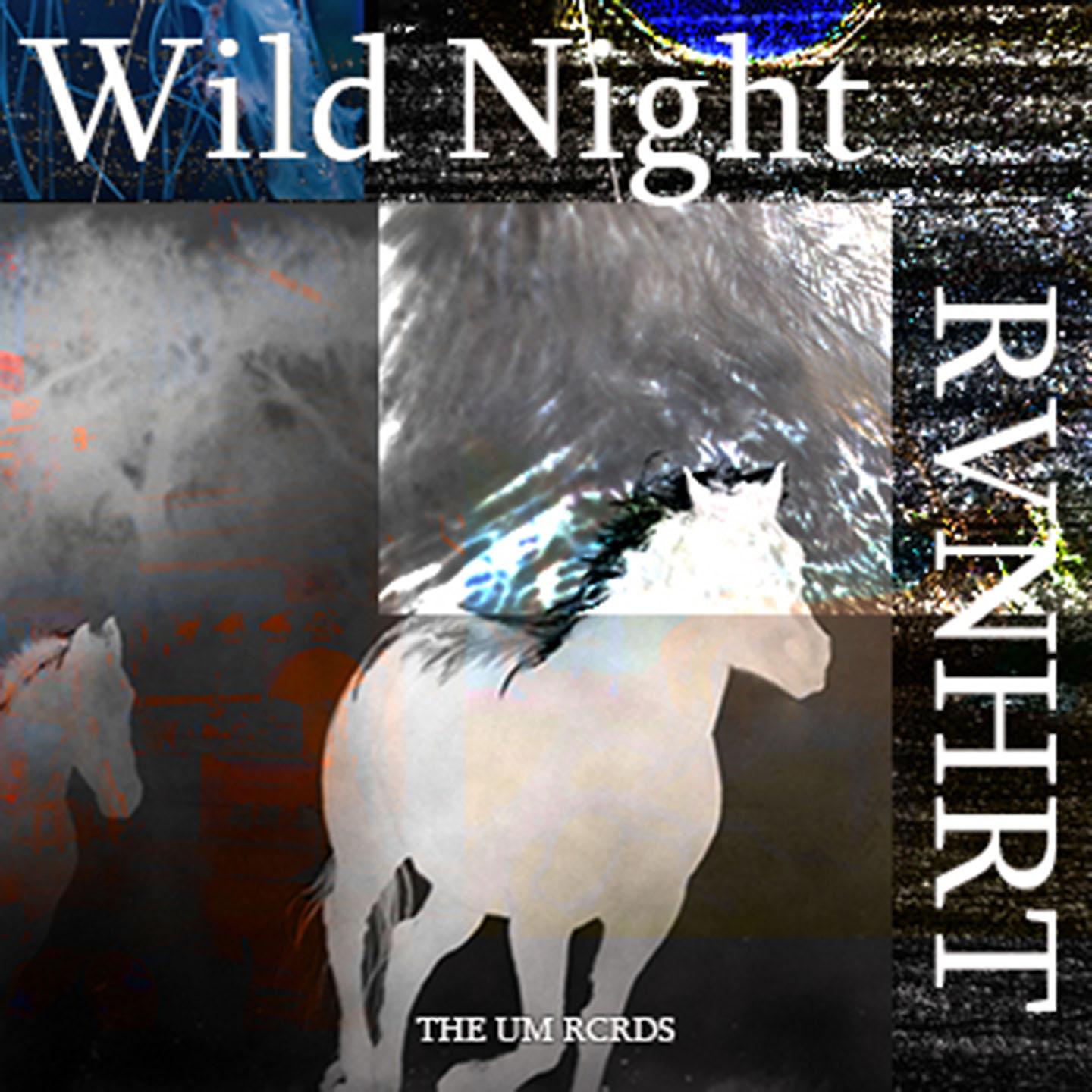 Постер альбома Wild Night