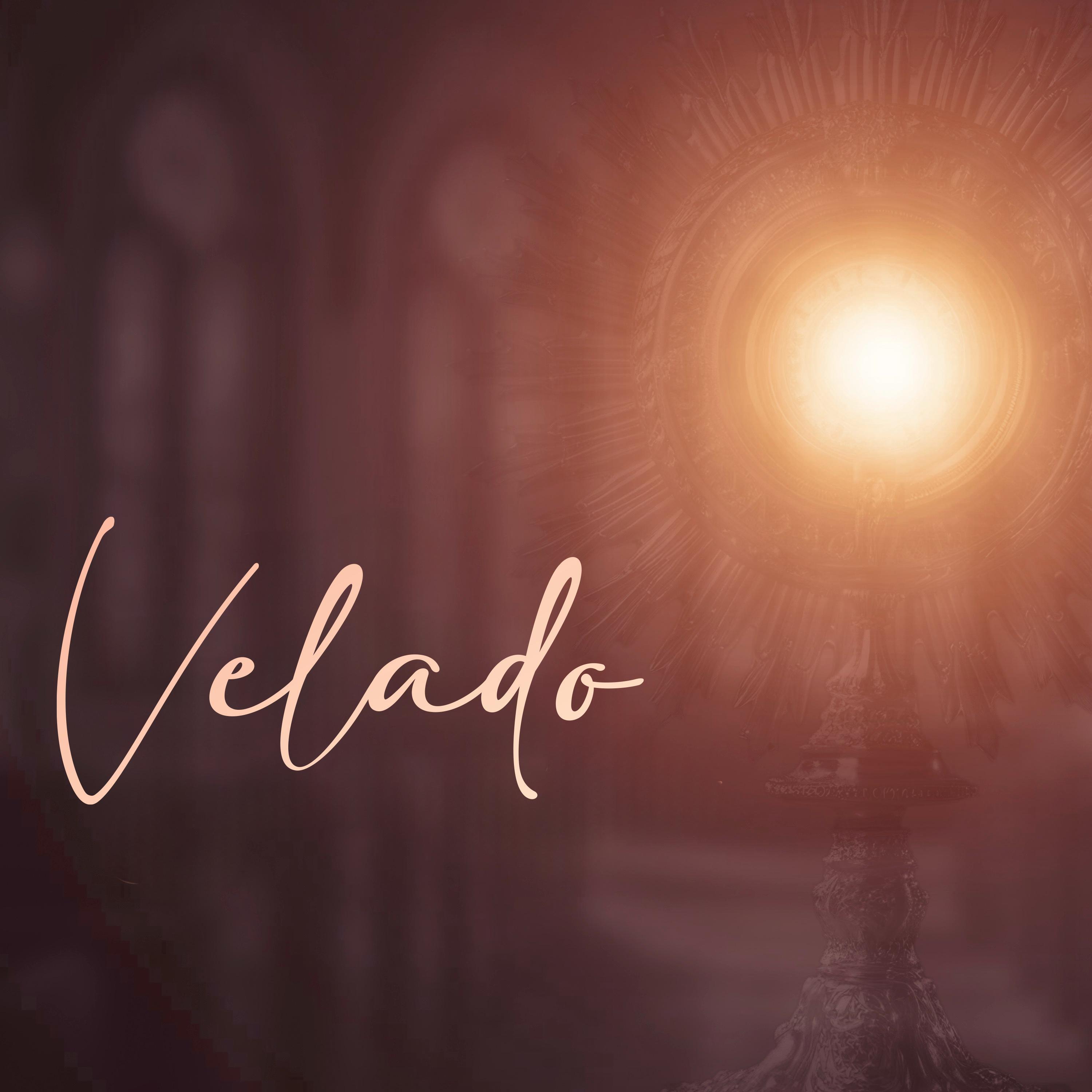 Постер альбома Velado