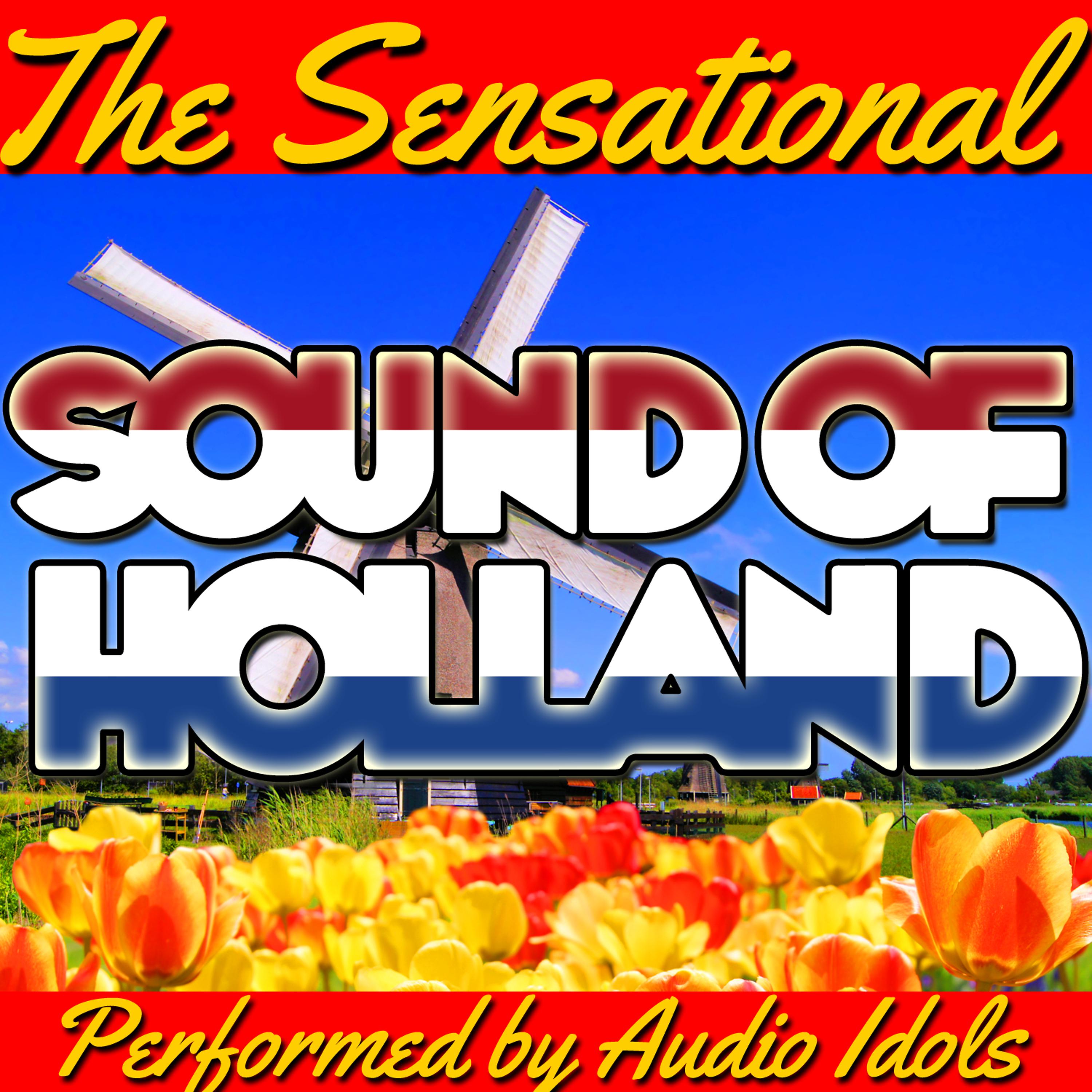 Постер альбома The Sensational Sound of Holland