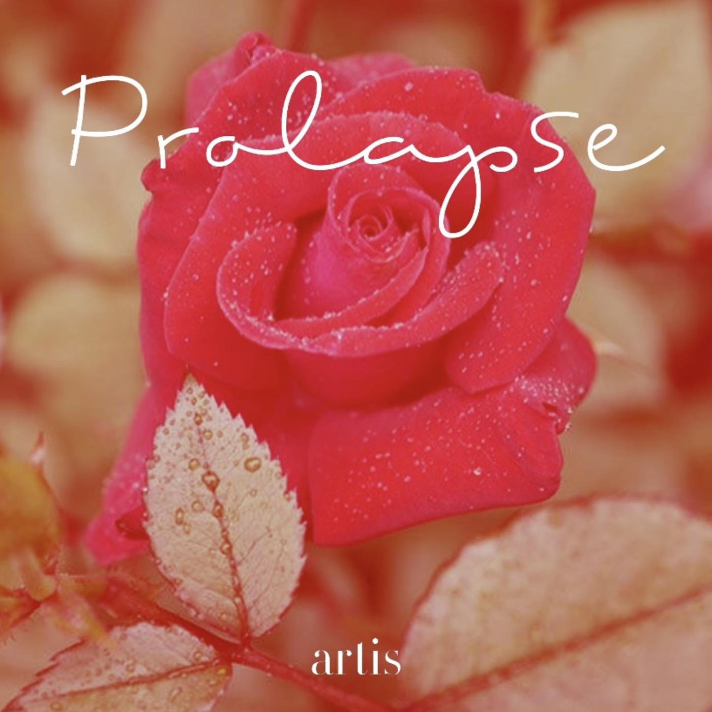 Постер альбома Prolapse