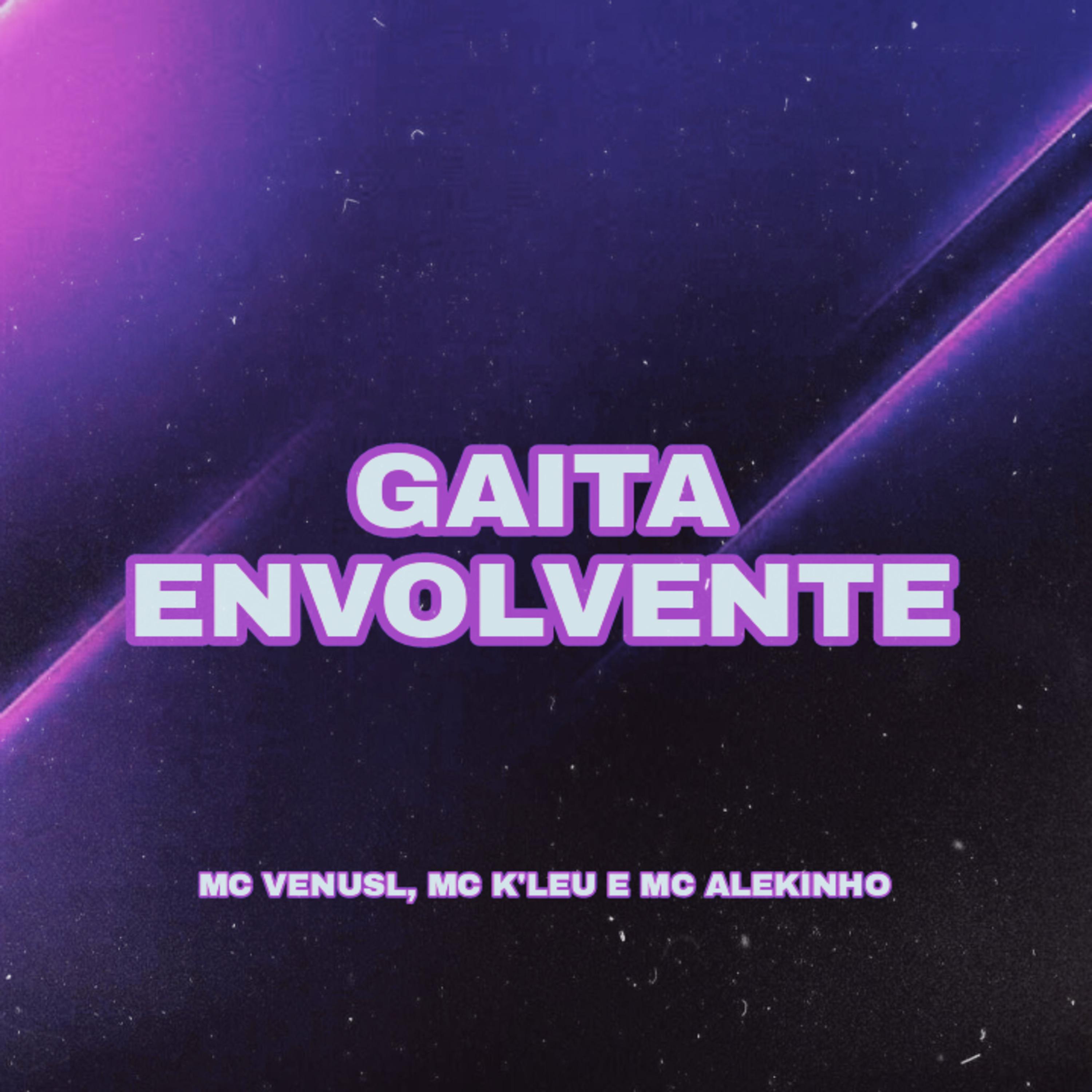 Постер альбома Gaita Envolvente
