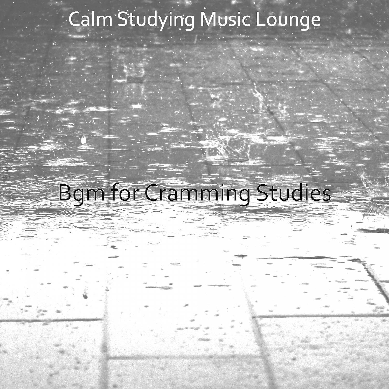 Постер альбома Bgm for Cramming Studies