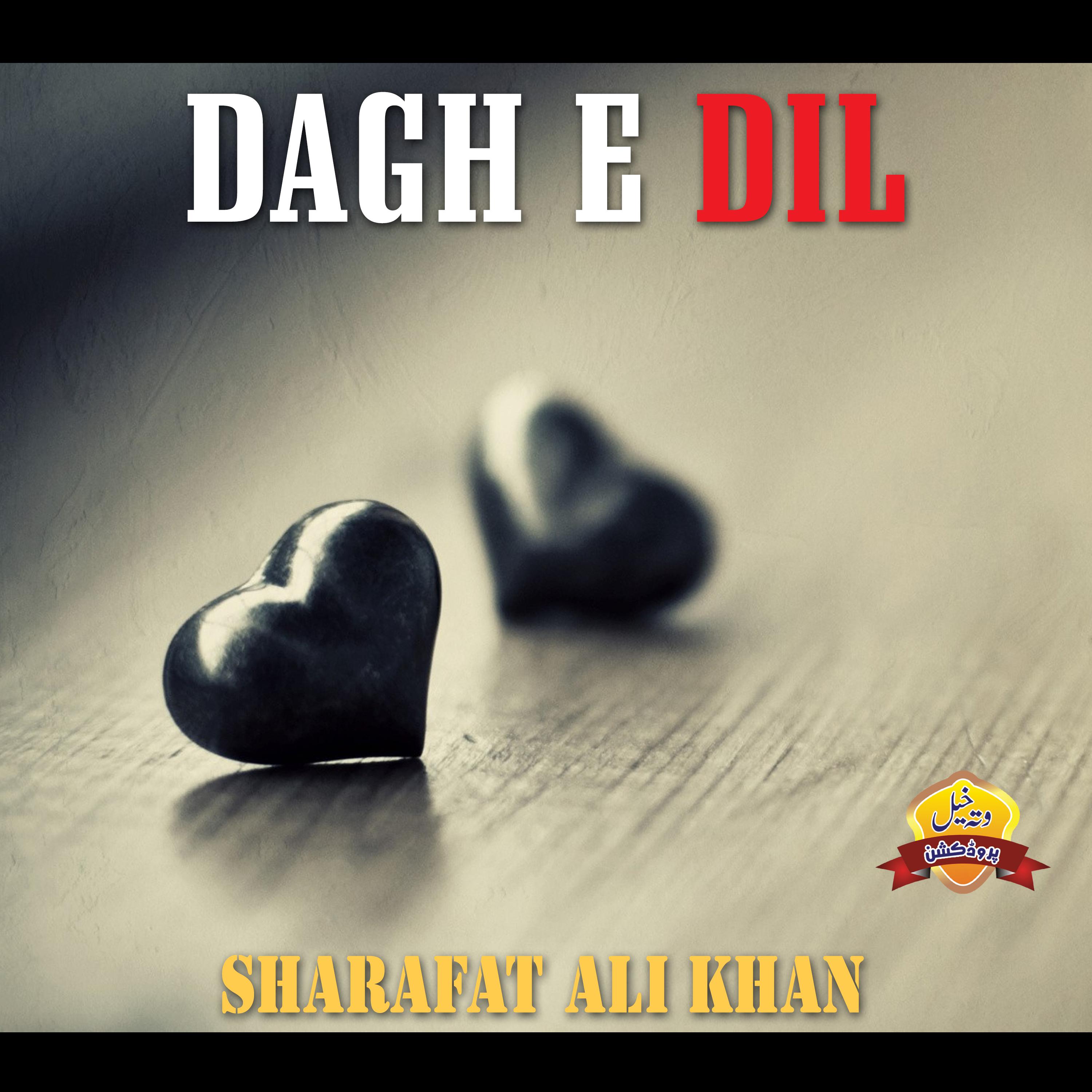 Постер альбома Dagh E Dil