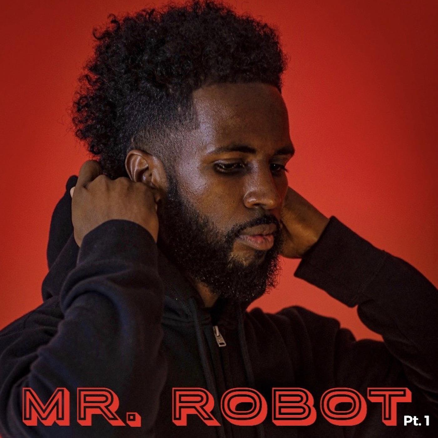 Постер альбома Mr. Robot, Part 1