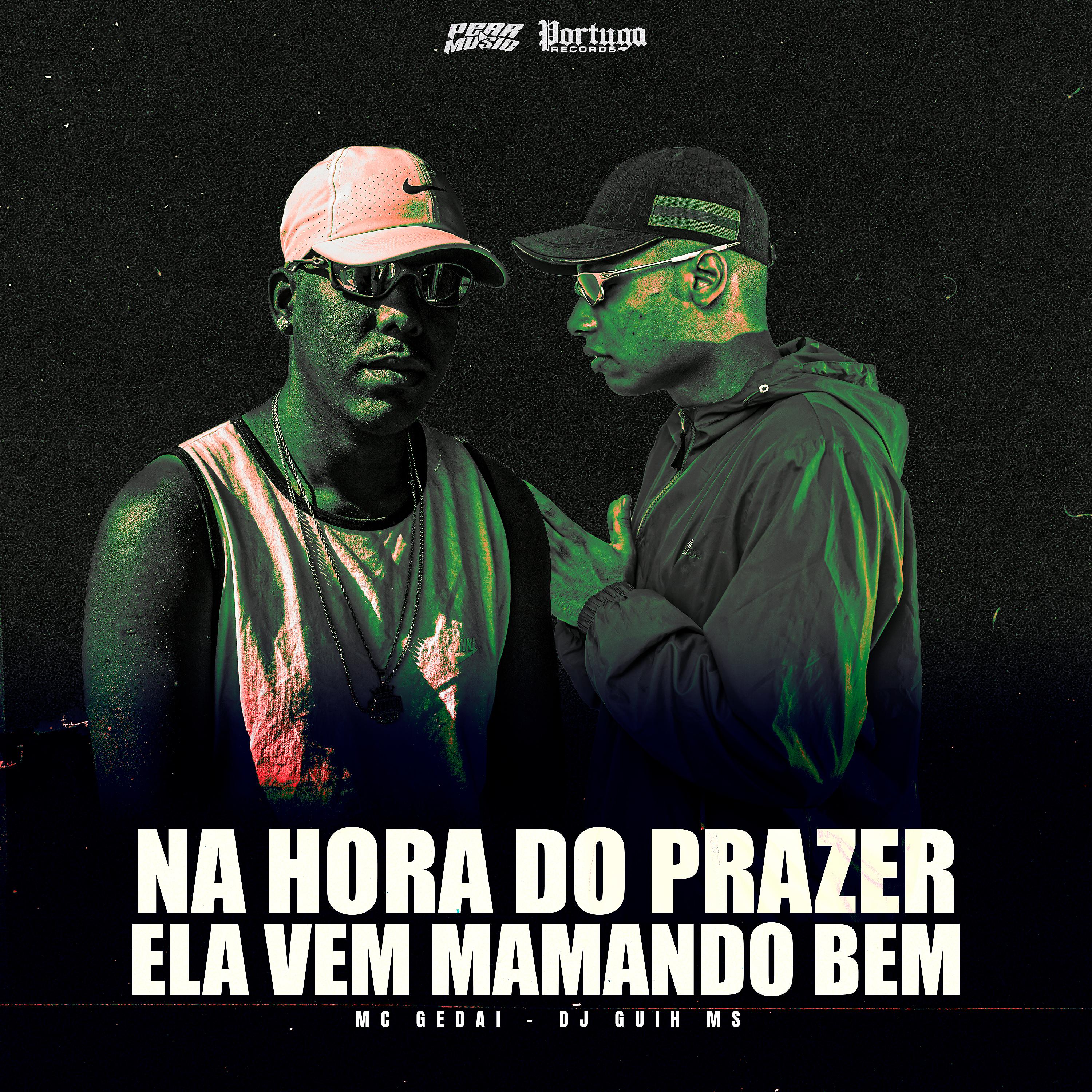 Постер альбома Na Hora do Prazer Ela Vem Mamando Bem