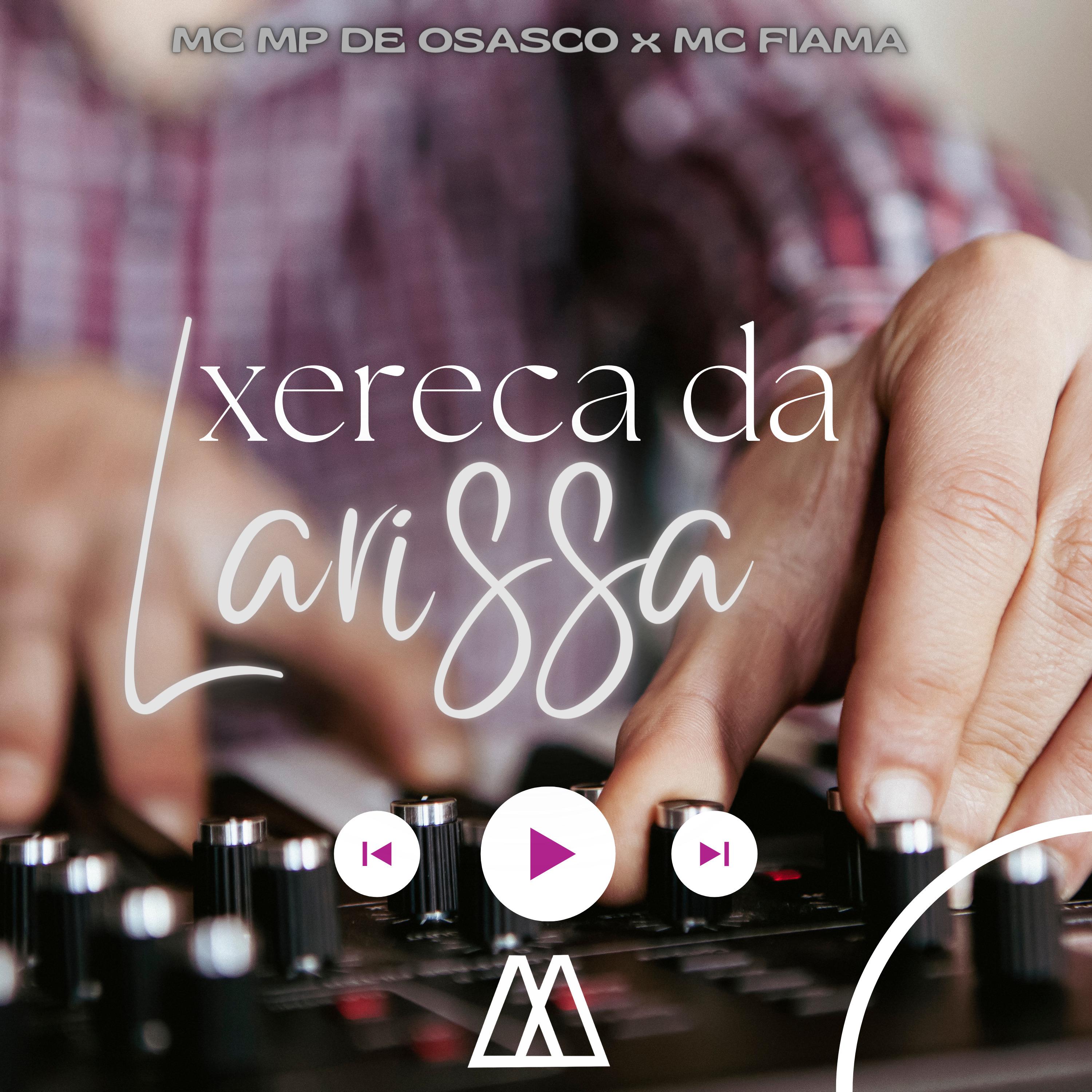 Постер альбома Xereca da Larissa