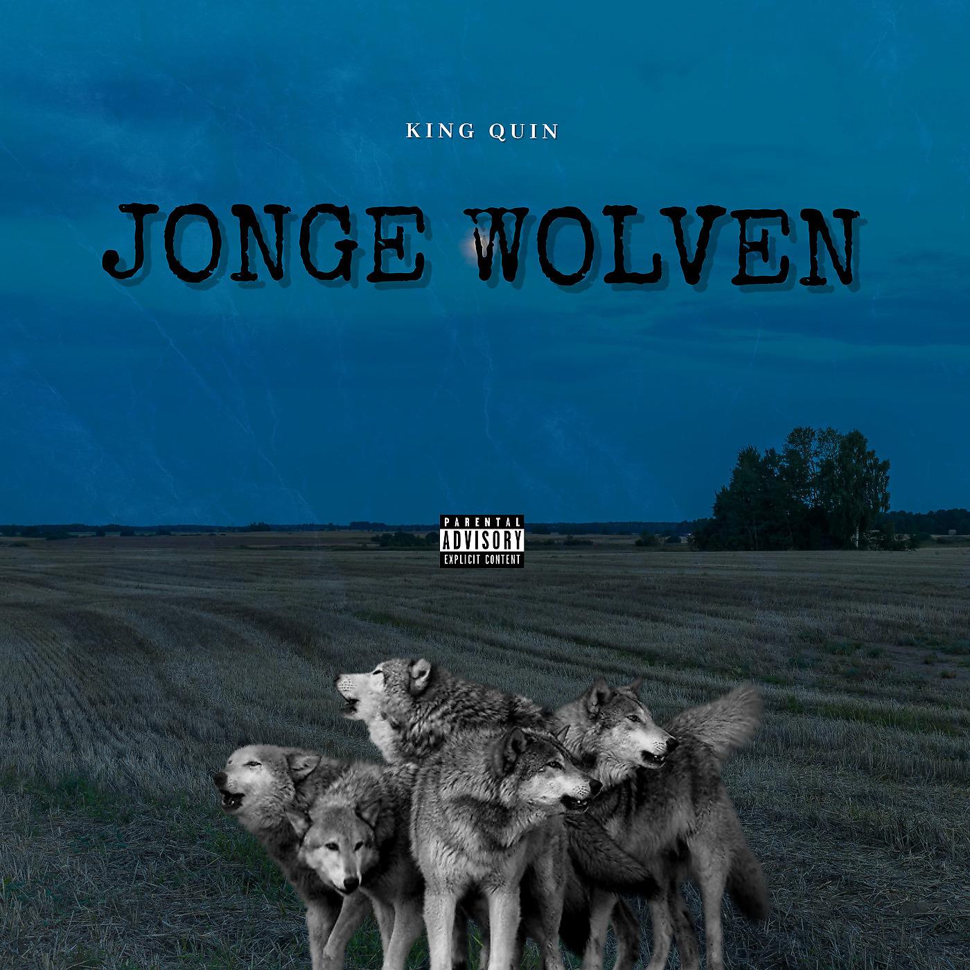 Постер альбома Jonge Wolven