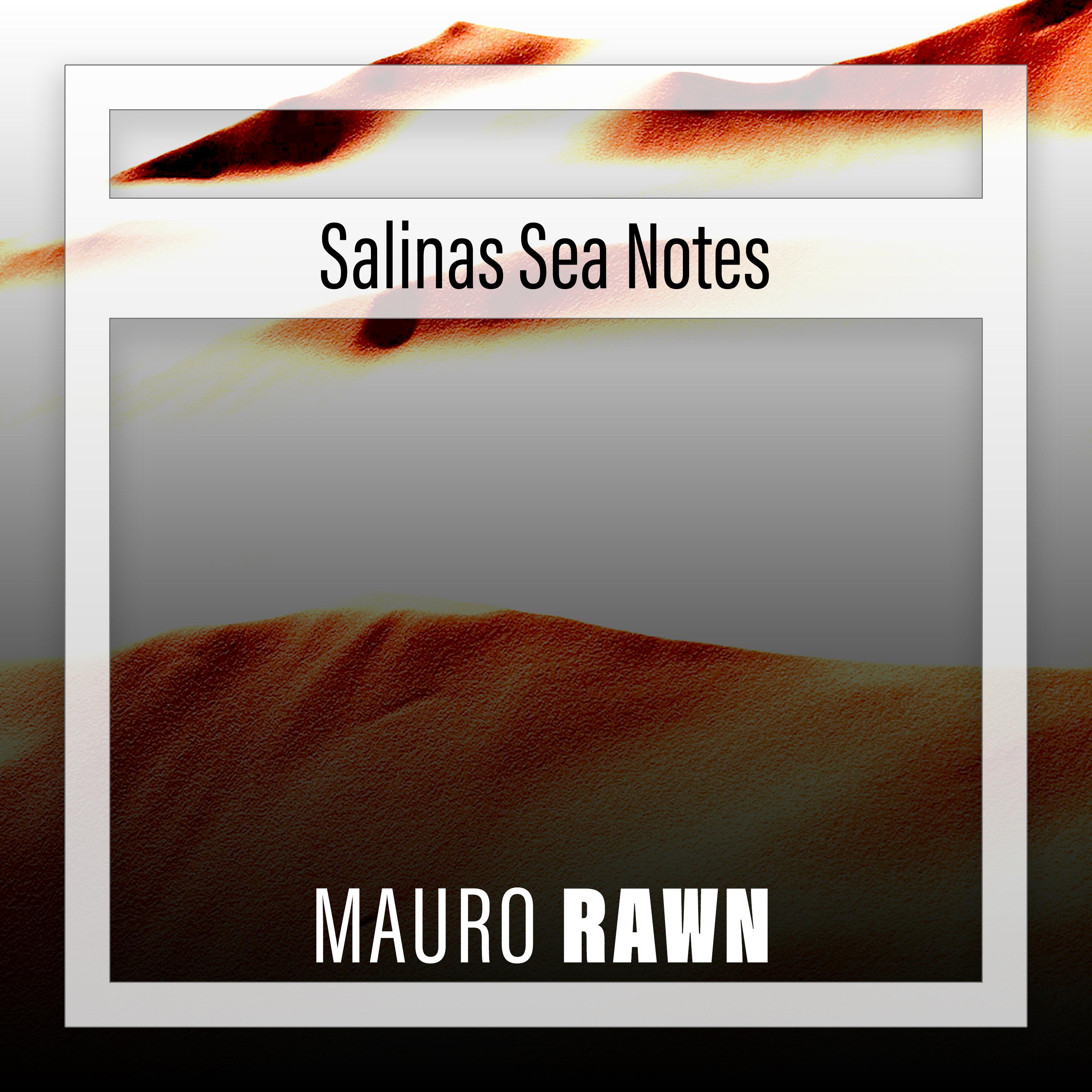 Постер альбома Salinas Sea Notes