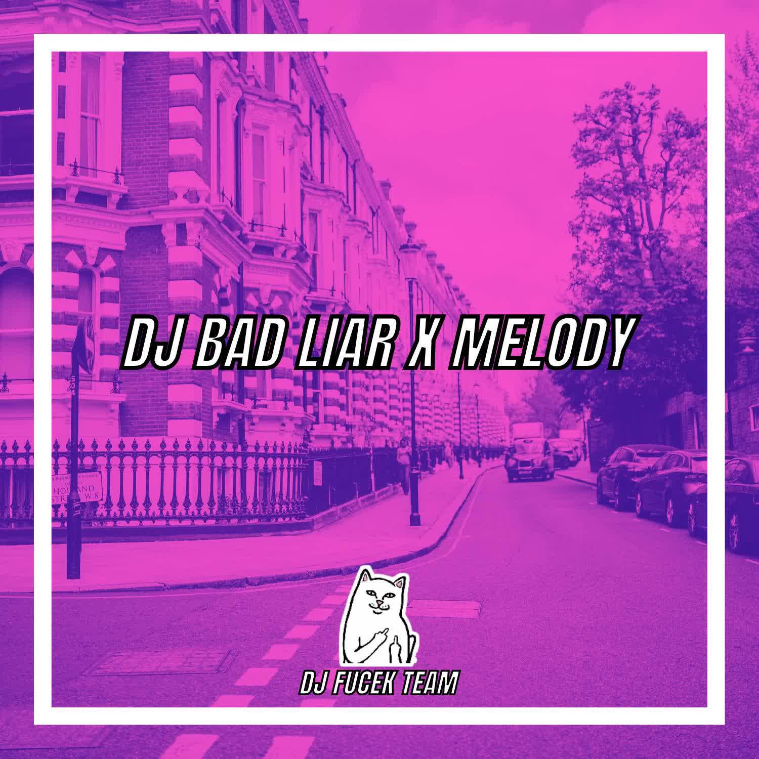 Постер альбома DJ Bad Liar X Melody - Inst