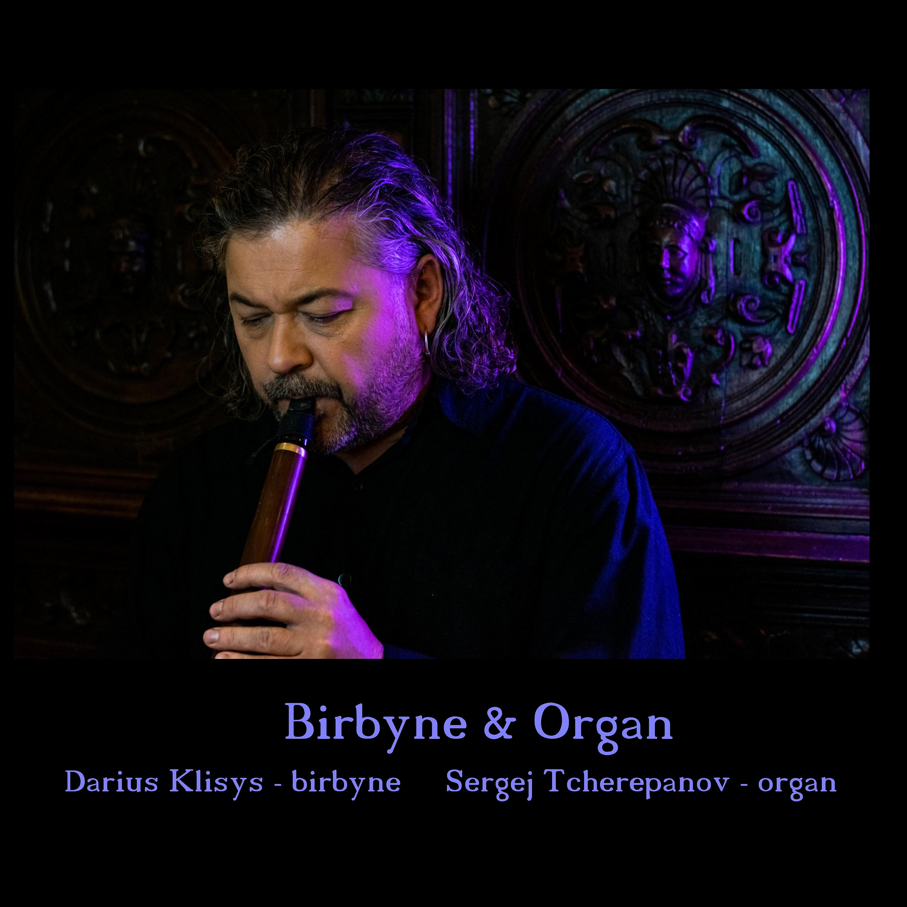 Постер альбома Birbyne & Organ