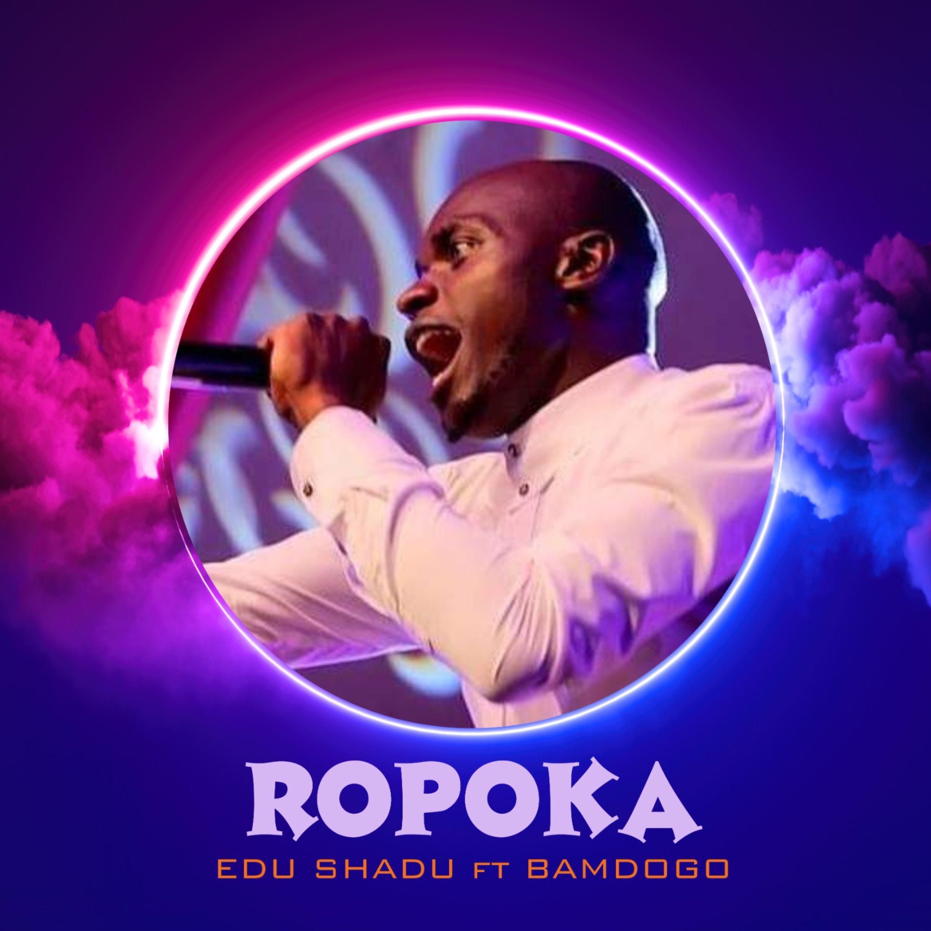 Постер альбома Ropoka