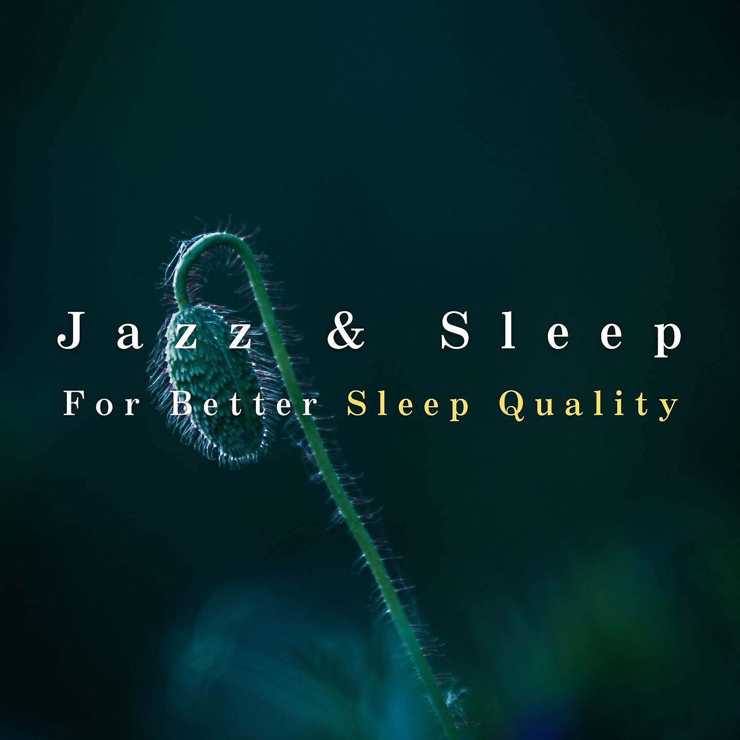Постер альбома Jazz & Sleep ~For Better Sleep Quality